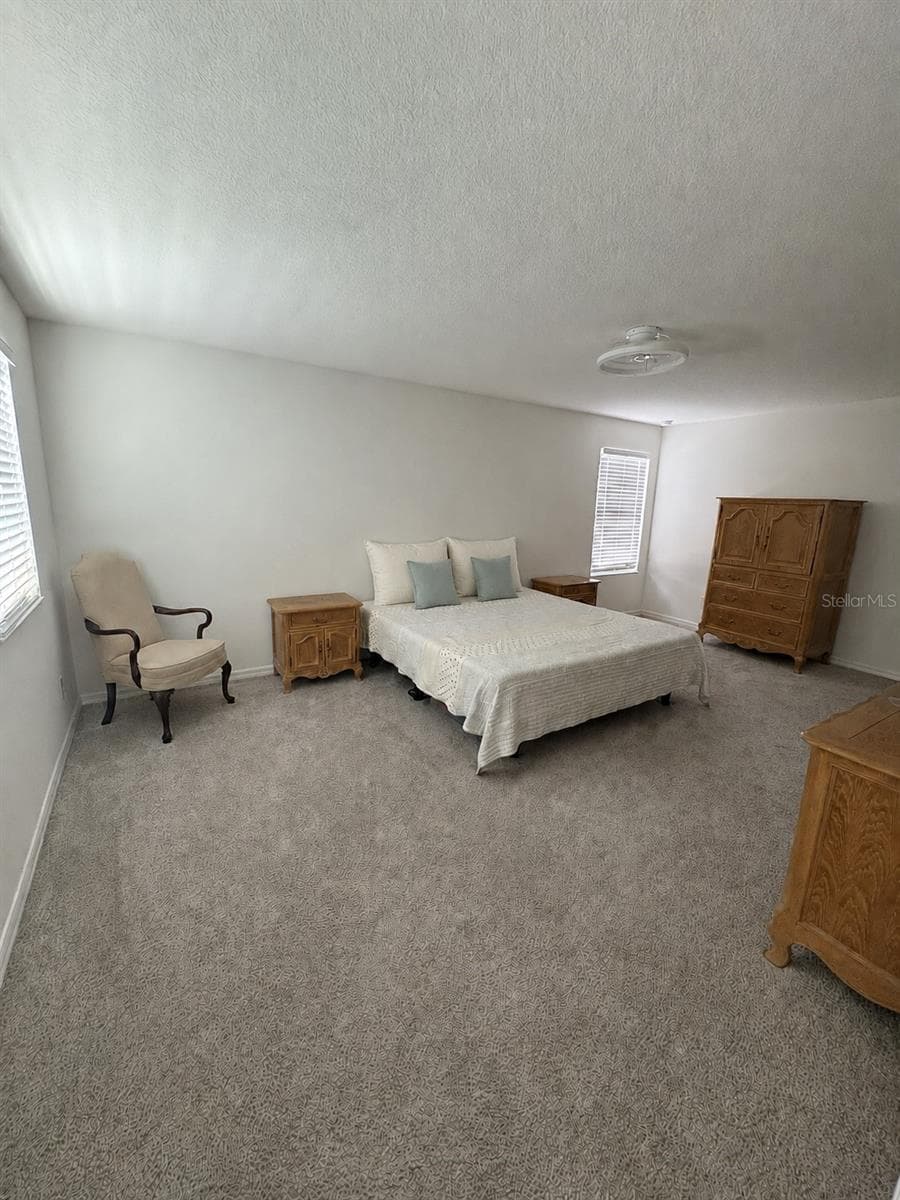 Primary Bedroom - 7128 DILLY LAKE AVE, GROVELAND