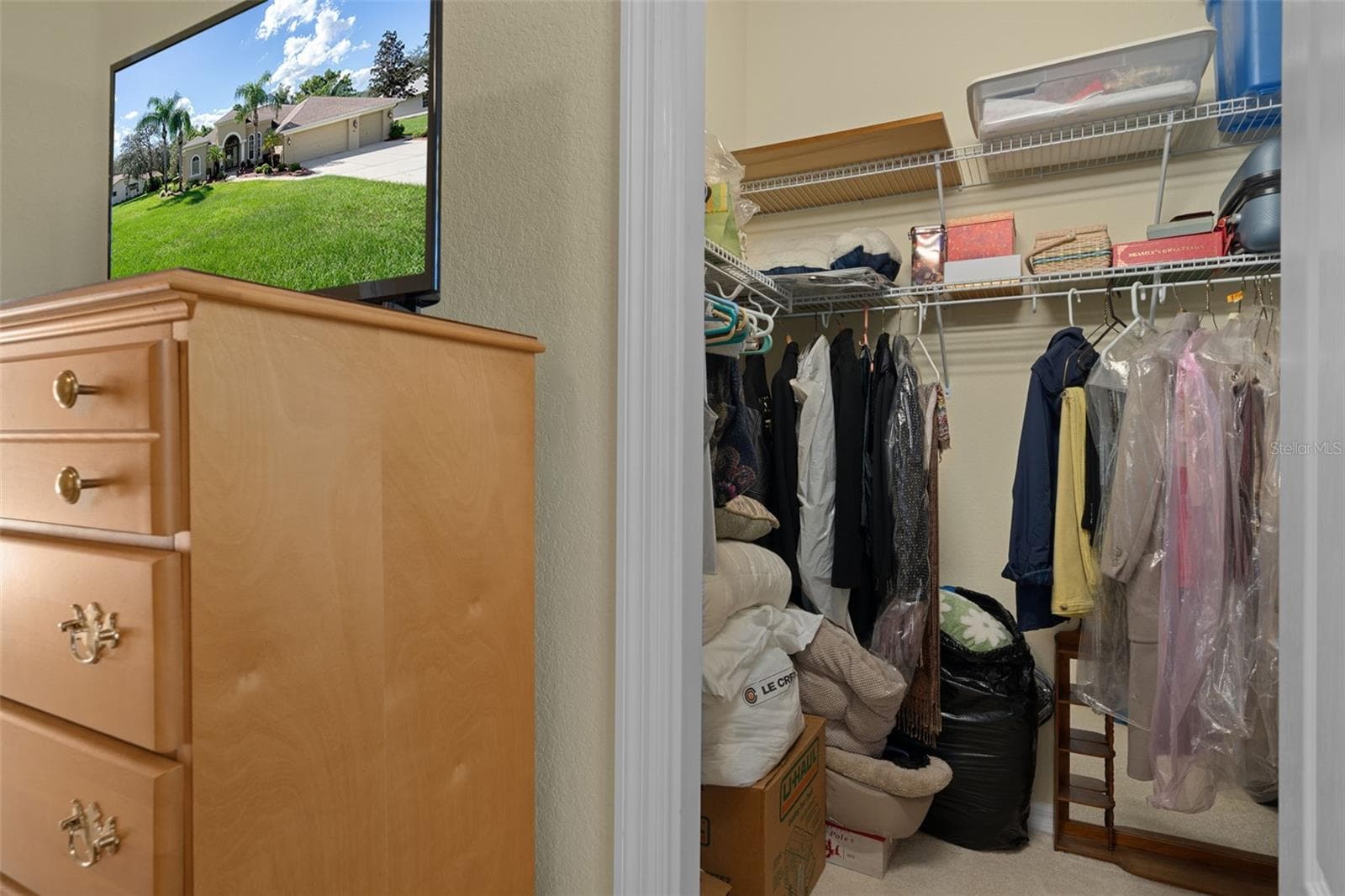 Bedroom #2 Closet - 409 SILAS CT, SPRING HILL