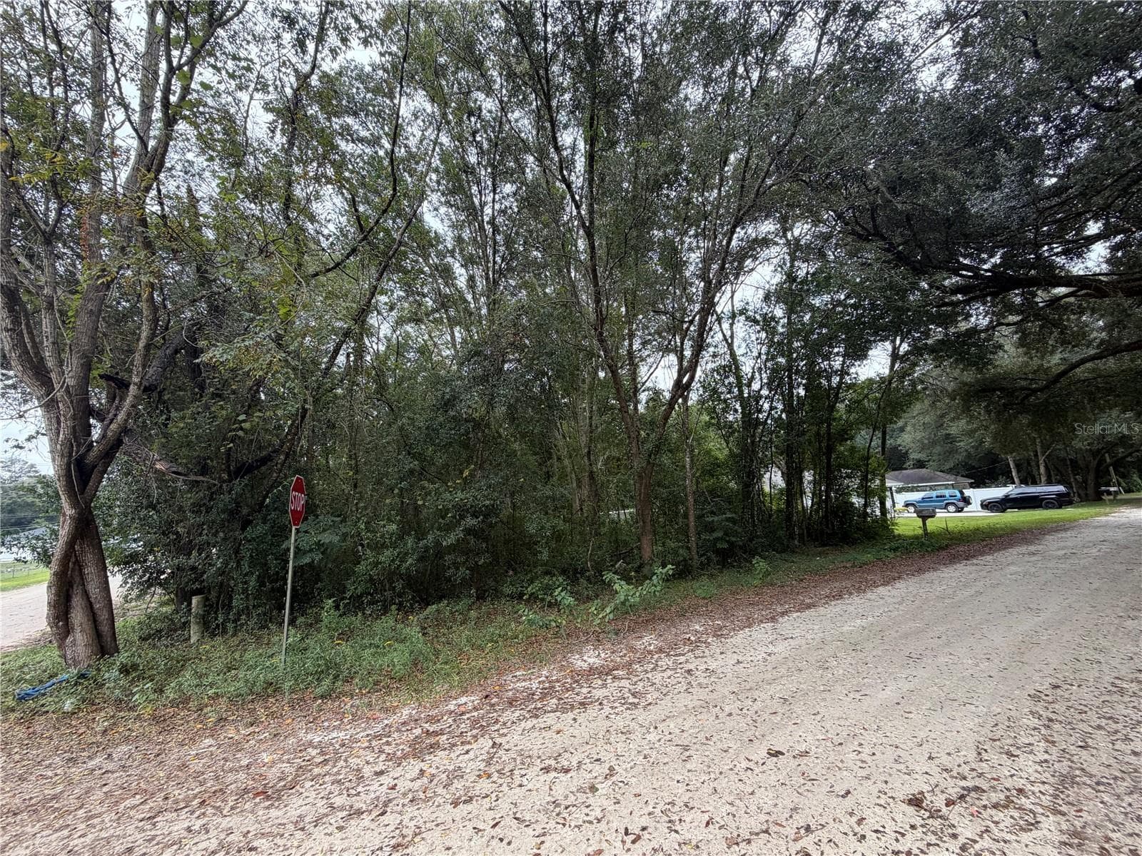 Front of Lot on SE 35th CT - TBD SE 35TH CT, SUMMERFIELD