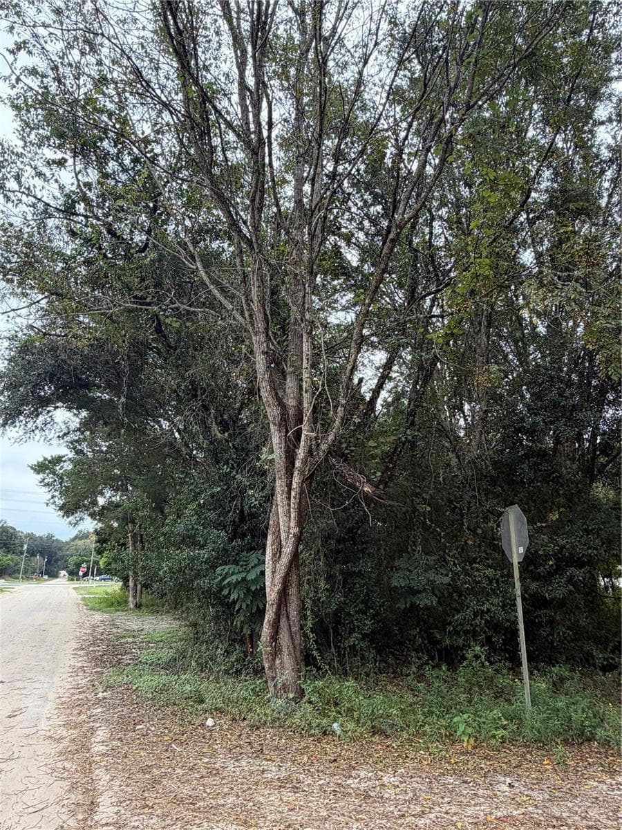 Corner of SE 35th Ct / SE 140th PL - TBD SE 35TH CT, SUMMERFIELD