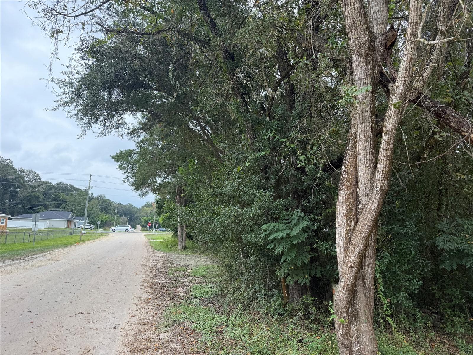 Road on SE 140th PL toward SE 36th Ave - TBD SE 35TH CT, SUMMERFIELD