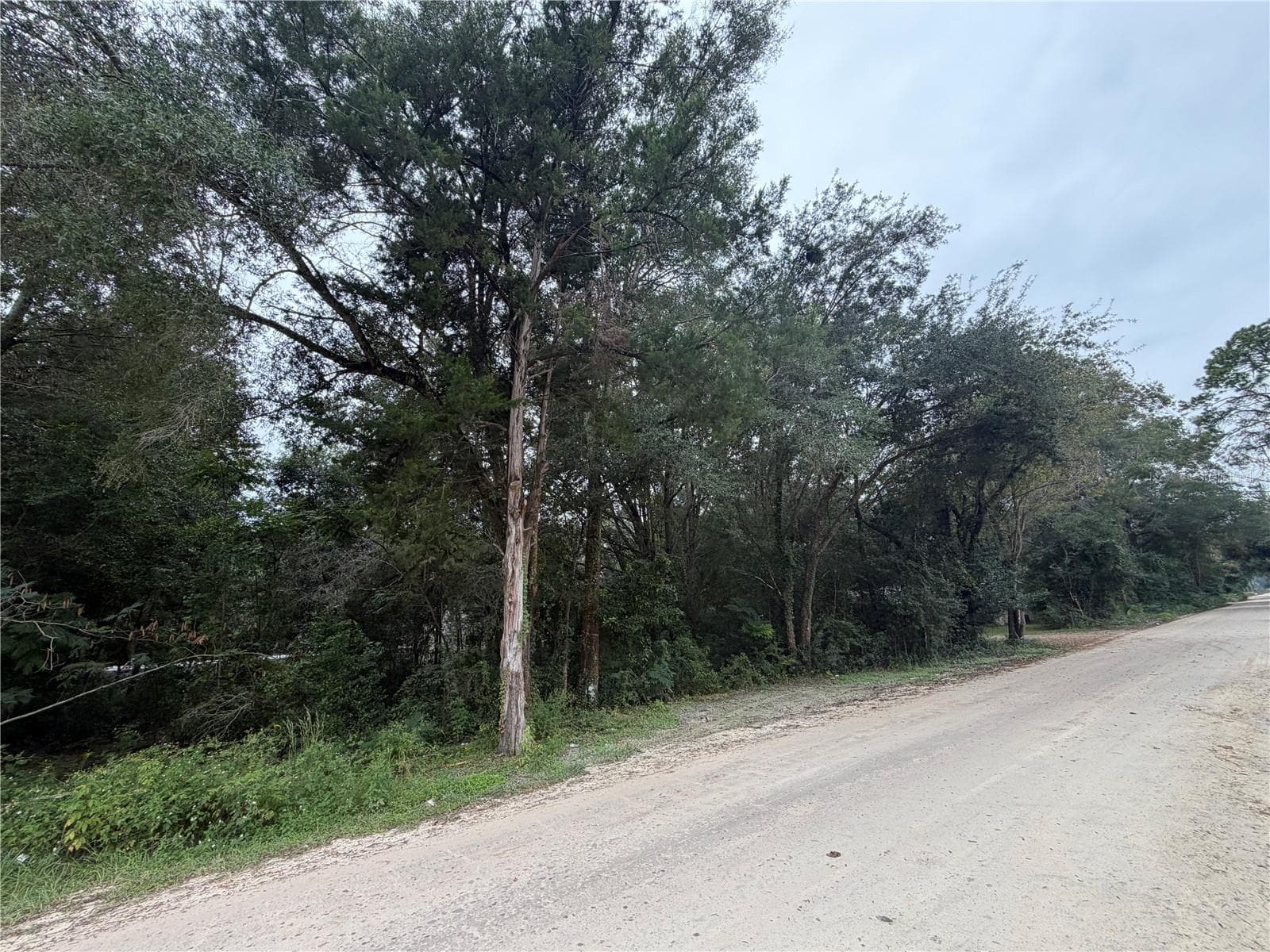 Side of Lot on SE 140th PL - TBD SE 35TH CT, SUMMERFIELD