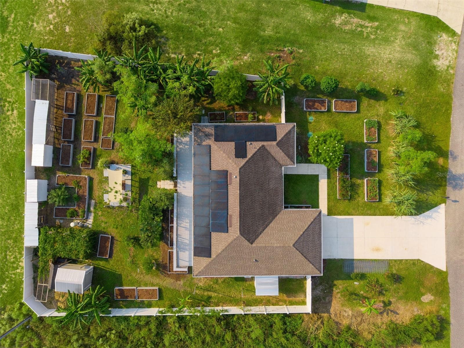 BACKYARD FOOD FOREST! - 15987 SW 55TH AVENUE RD, OCALA