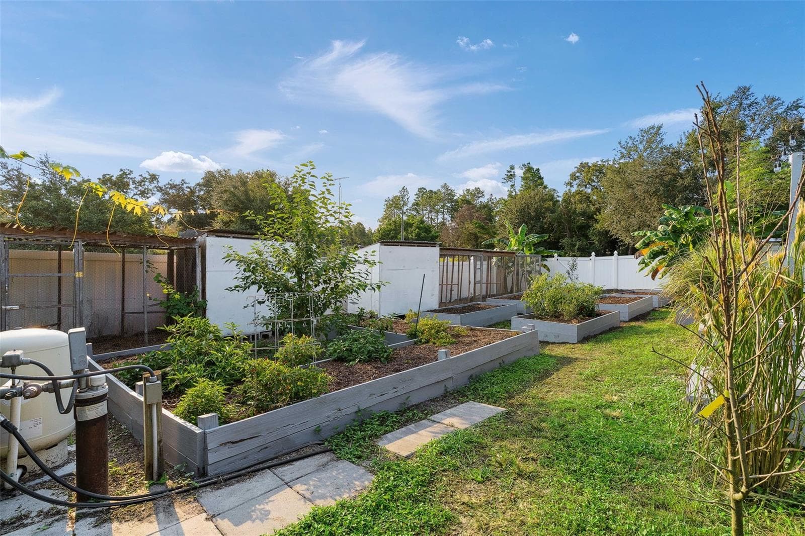 CONTINUE THE VISION & PLANT YOUR OWN! - 15987 SW 55TH AVENUE RD, OCALA