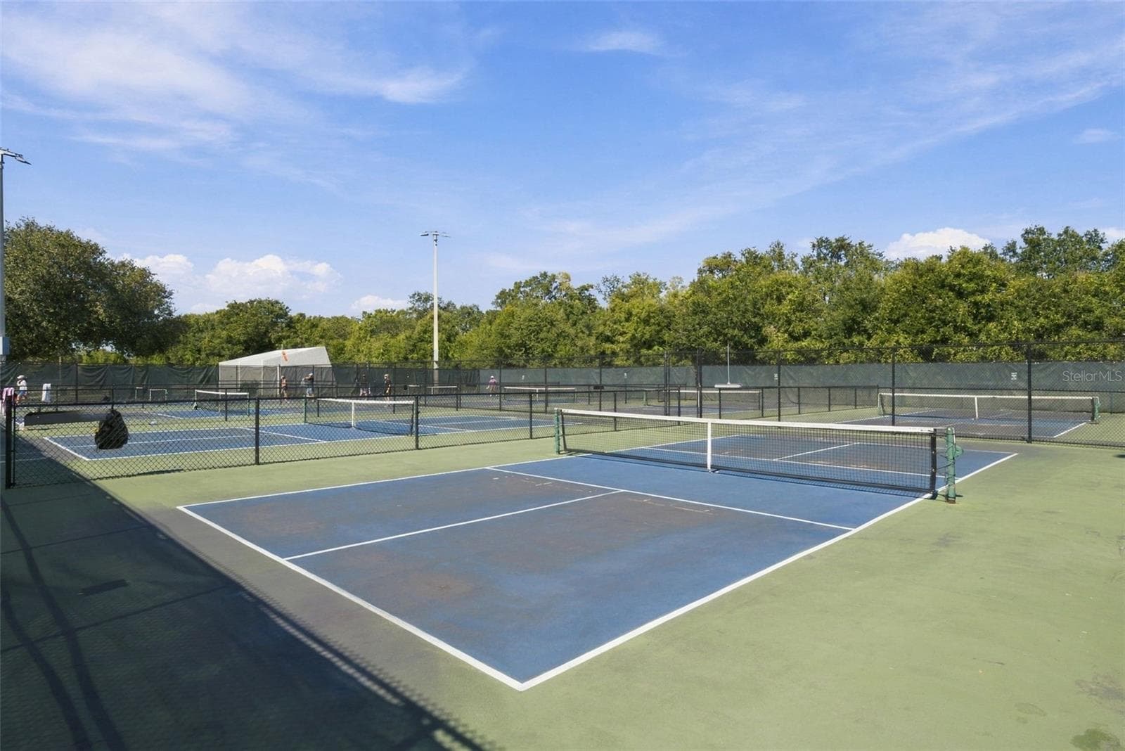 Sports Complex - open Pickeball courts - 16136 FOXFIRE DR, TAMPA