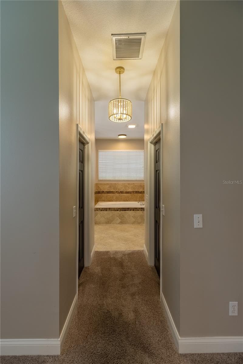 Single Family Residence at 8917 EAGLE WATCH DR, RIVERVIEW, photo 17 of 48
