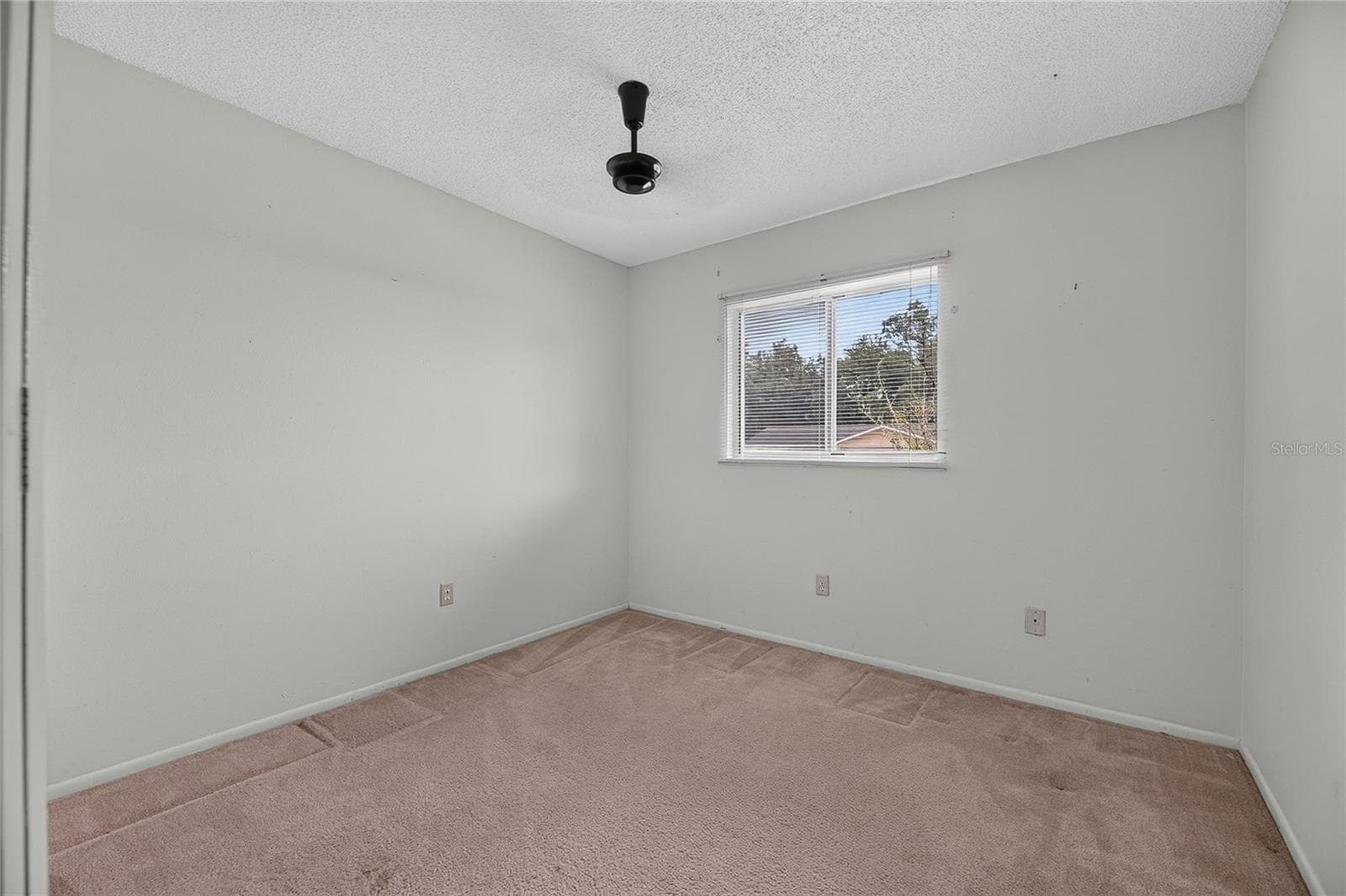 Single Family Residence at 332 BRANDYWINE DR, VALRICO, photo 27 of 38