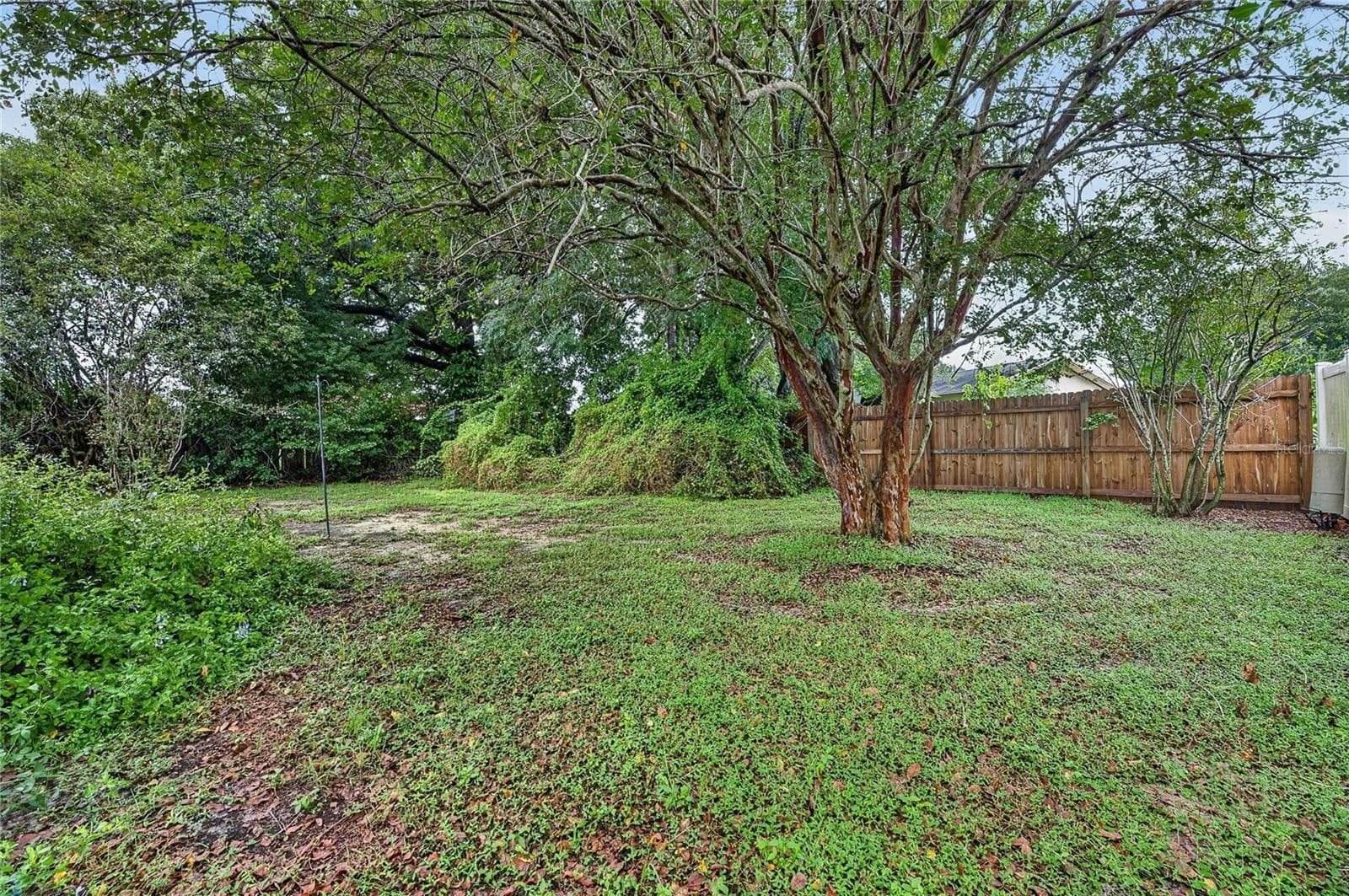 Single Family Residence at 332 BRANDYWINE DR, VALRICO, photo 35 of 38