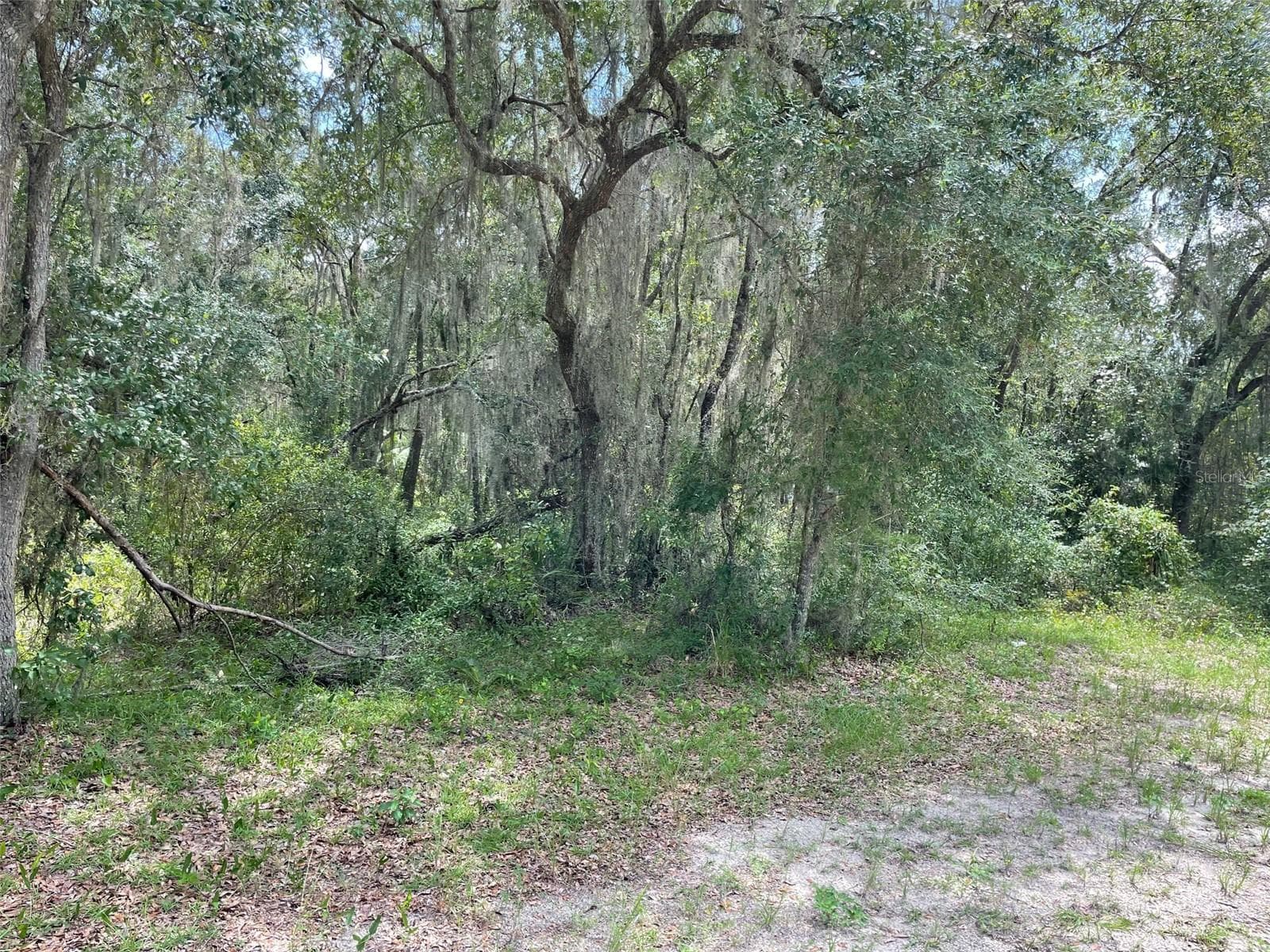 Land at LOTS 15 & 16 SW SHOREWOOD DR, DUNNELLON, photo 4 of 11