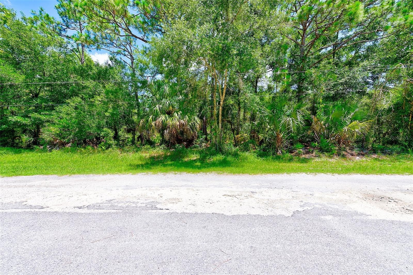 Land at 1253 NE 1ST ST, CRYSTAL RIVER, photo 3 of 7