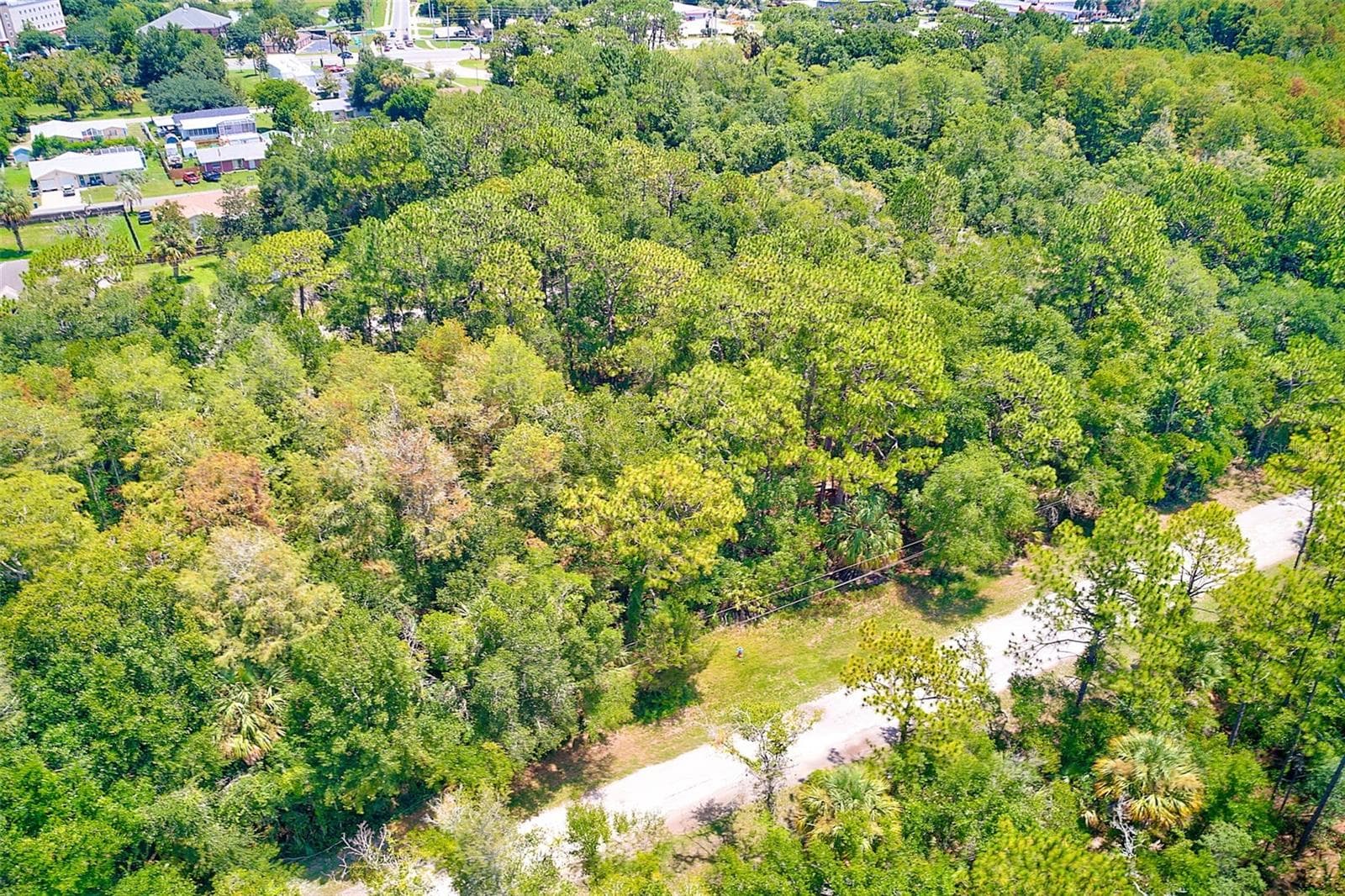 Land at 1253 NE 1ST ST, CRYSTAL RIVER, photo 5 of 7