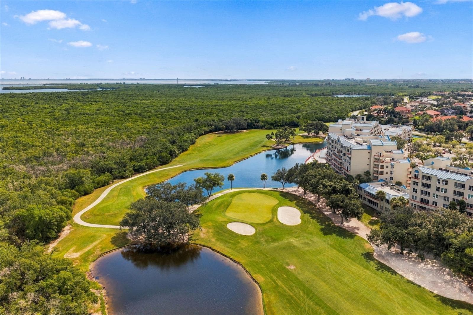 Condominium at 2333 FEATHER SOUND DR #A401, CLEARWATER, photo 69 of 70
