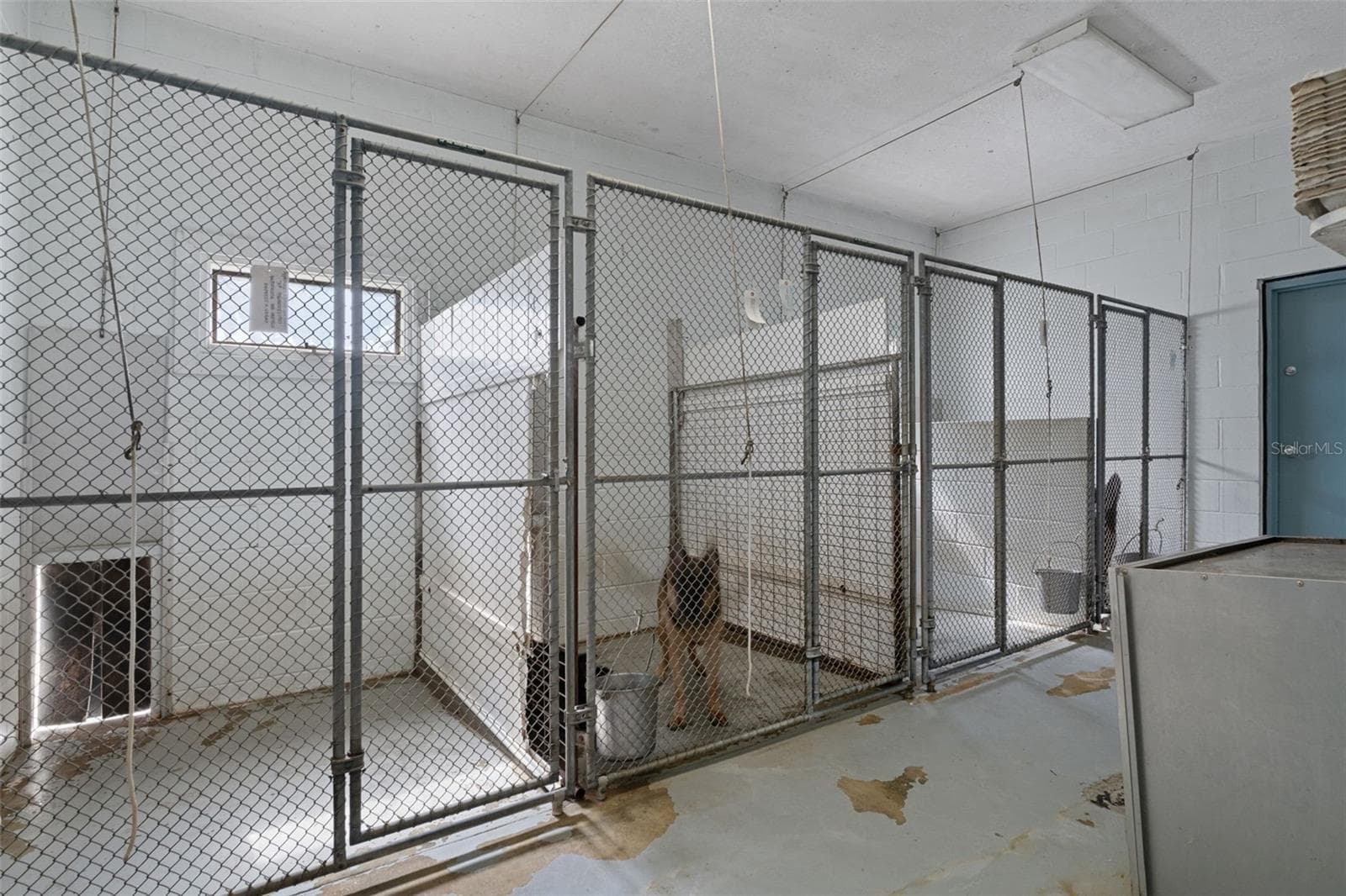 Kennel - 9498 NW 60TH AVE, OCALA