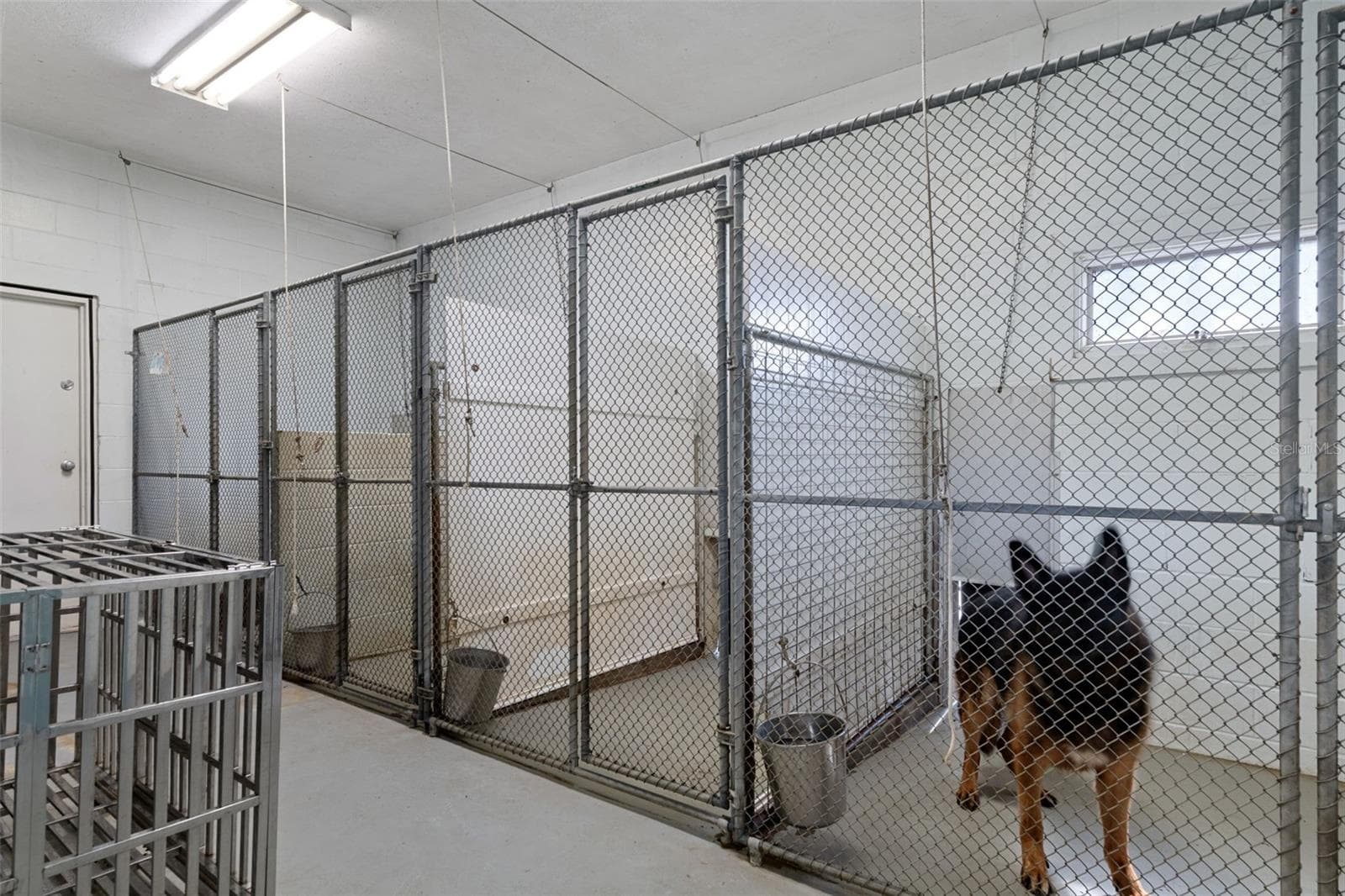 Kennel - 9498 NW 60TH AVE, OCALA