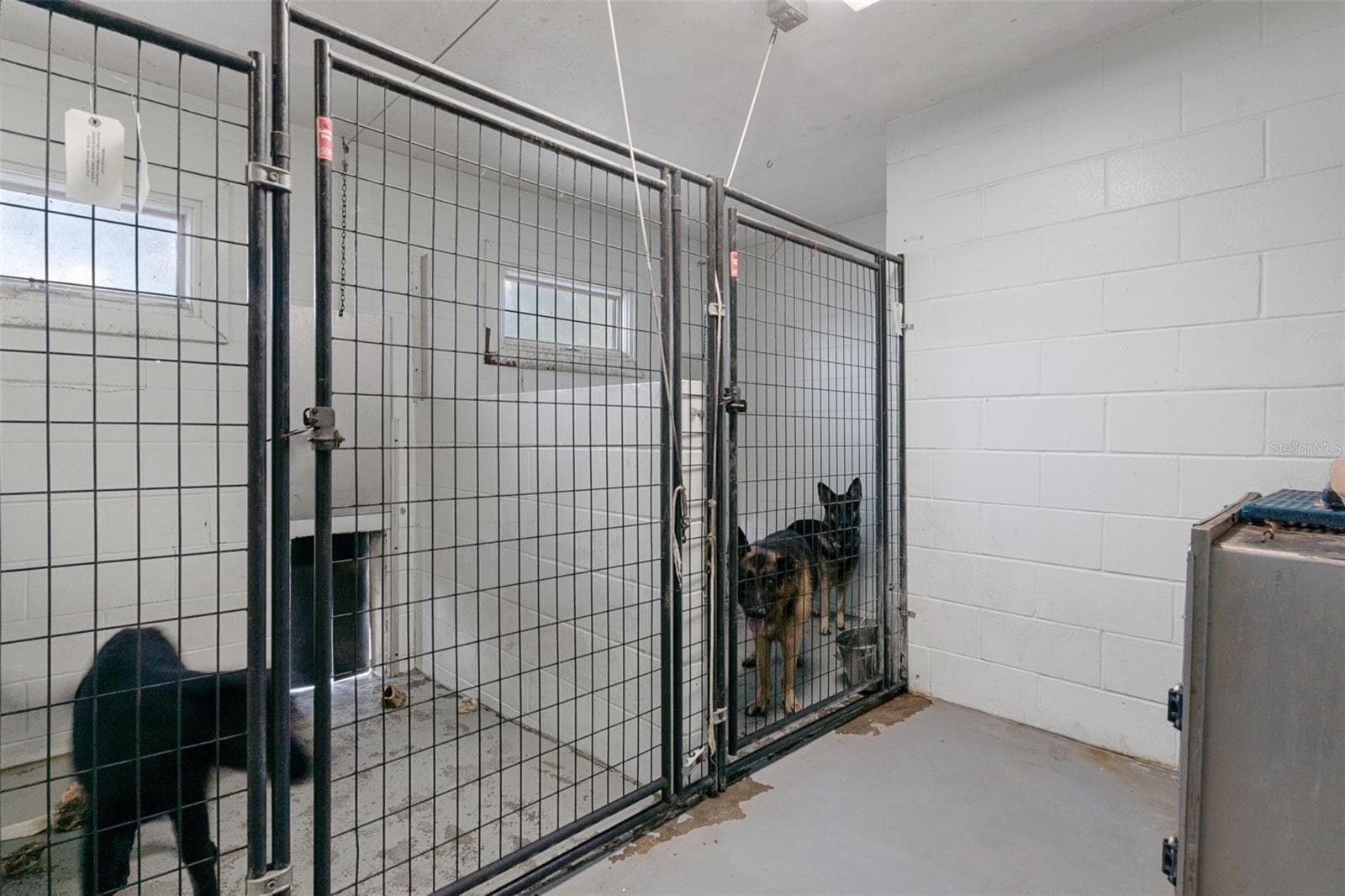 Kennel - 9498 NW 60TH AVE, OCALA
