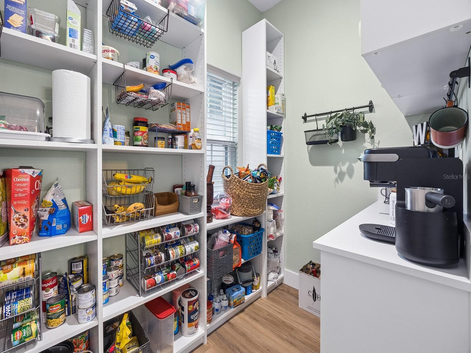 Walk-in pantry - 412 SNOW HILL RD, GENEVA