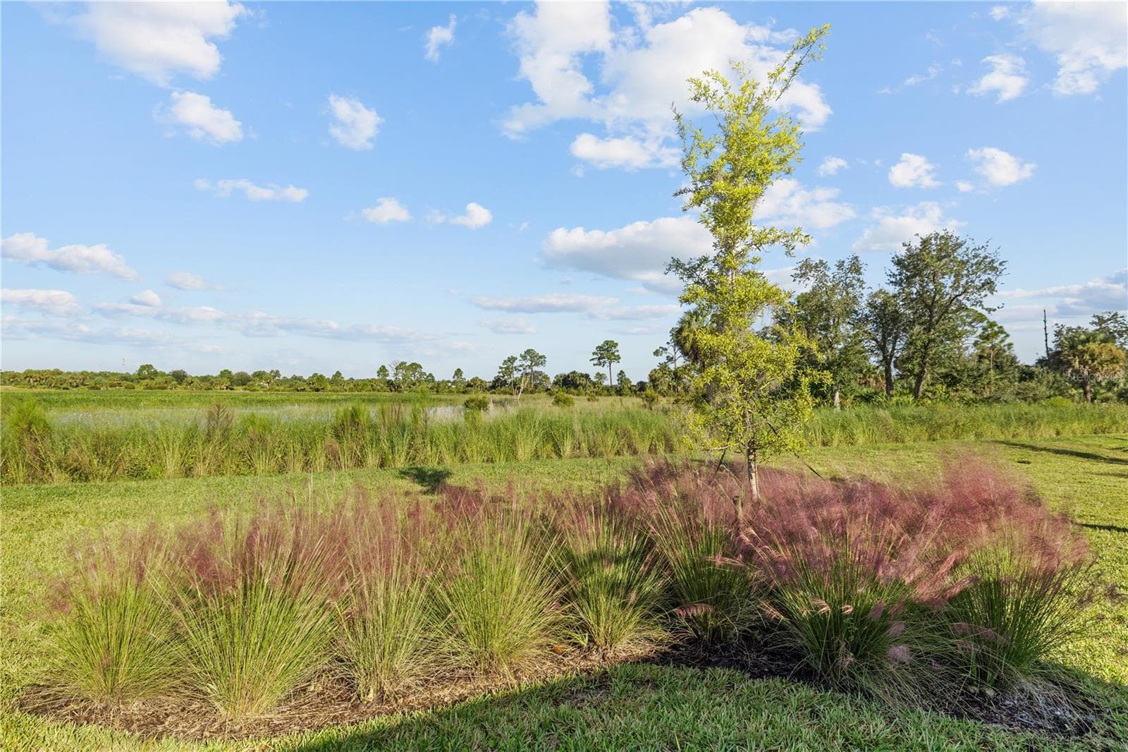 Conservation View - 17740 SHADE TREE LOOP, PUNTA GORDA