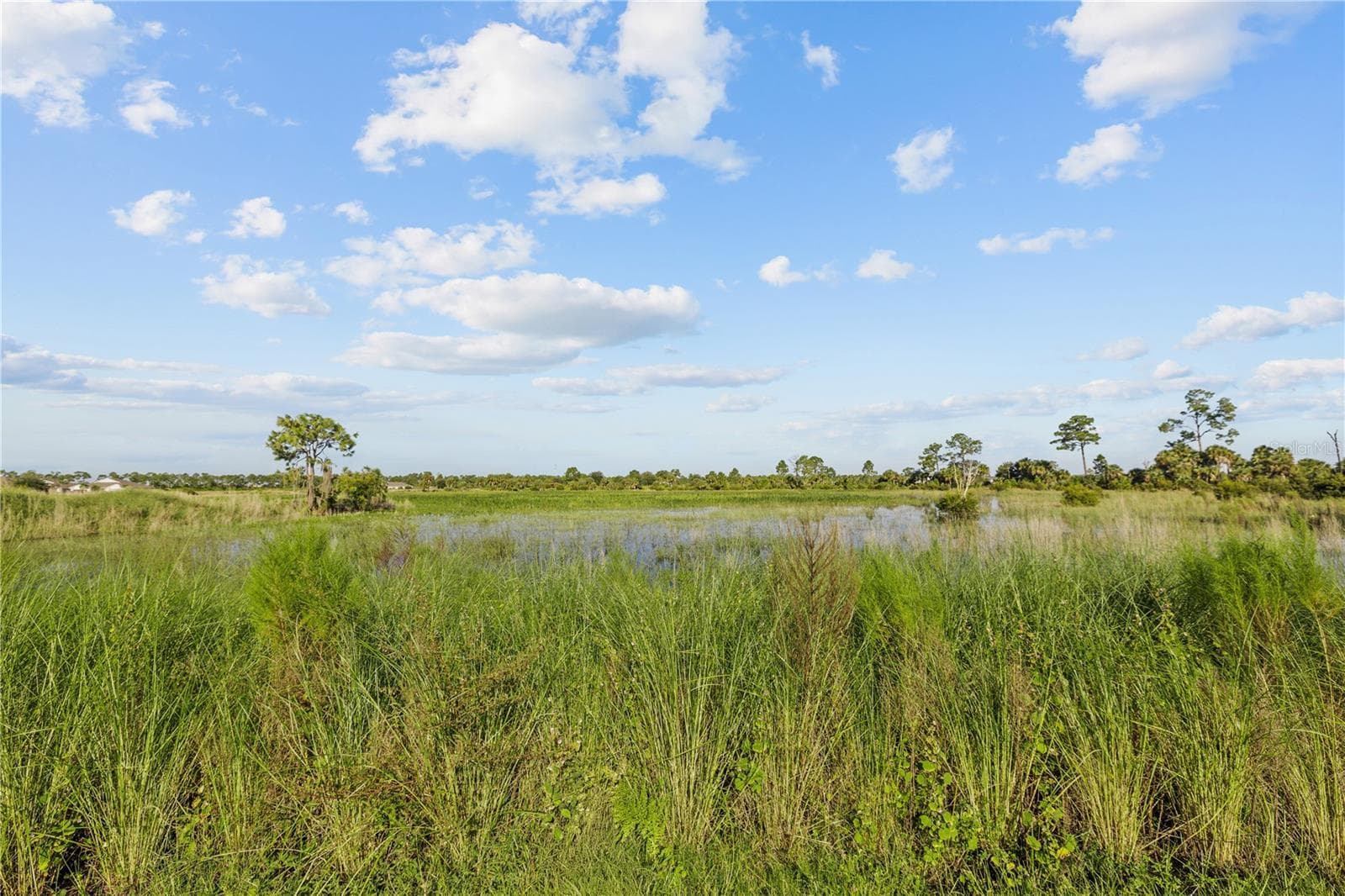 Conservation Area very quiet - 17740 SHADE TREE LOOP, PUNTA GORDA