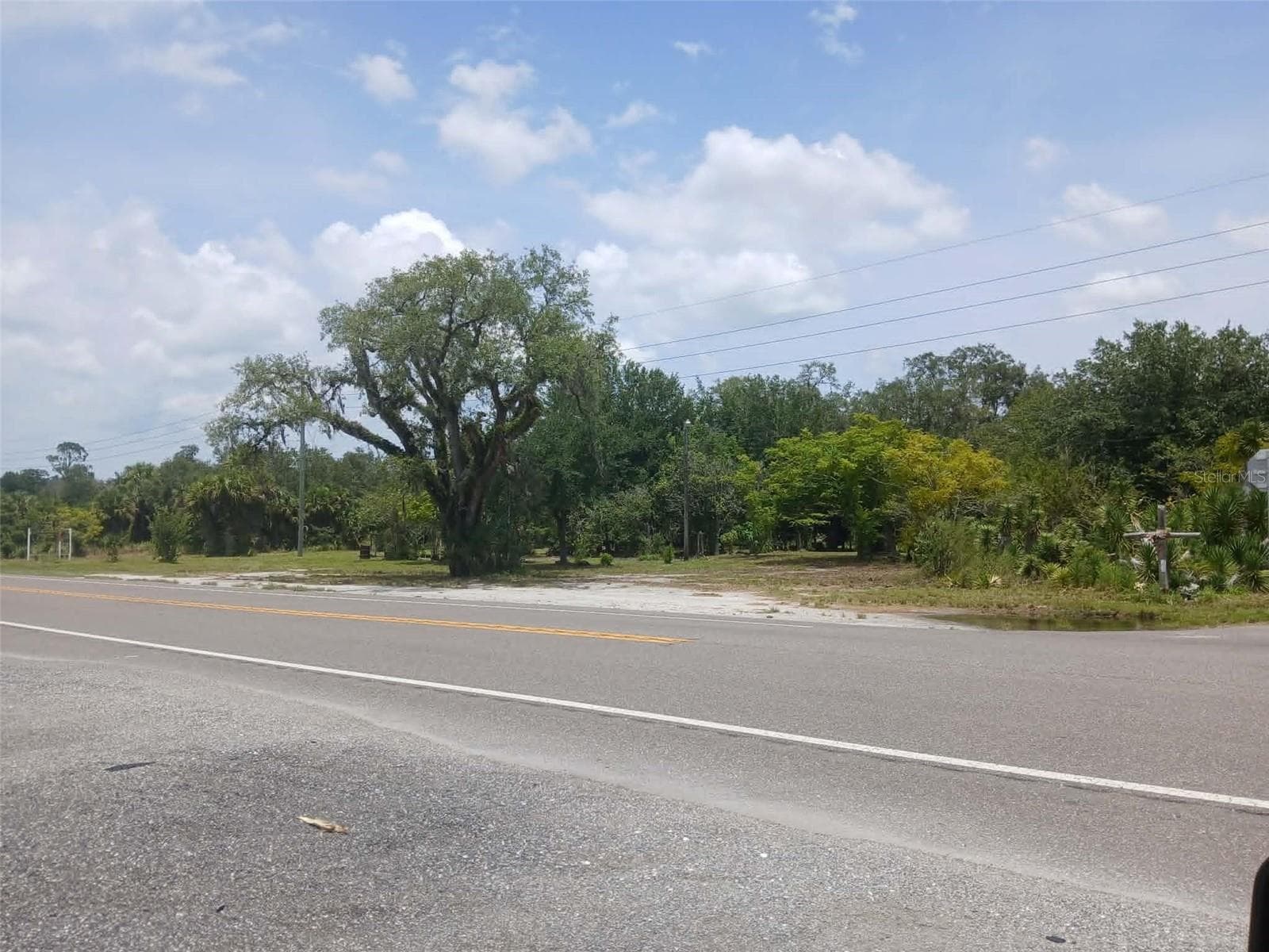 30950 HWY 441 N