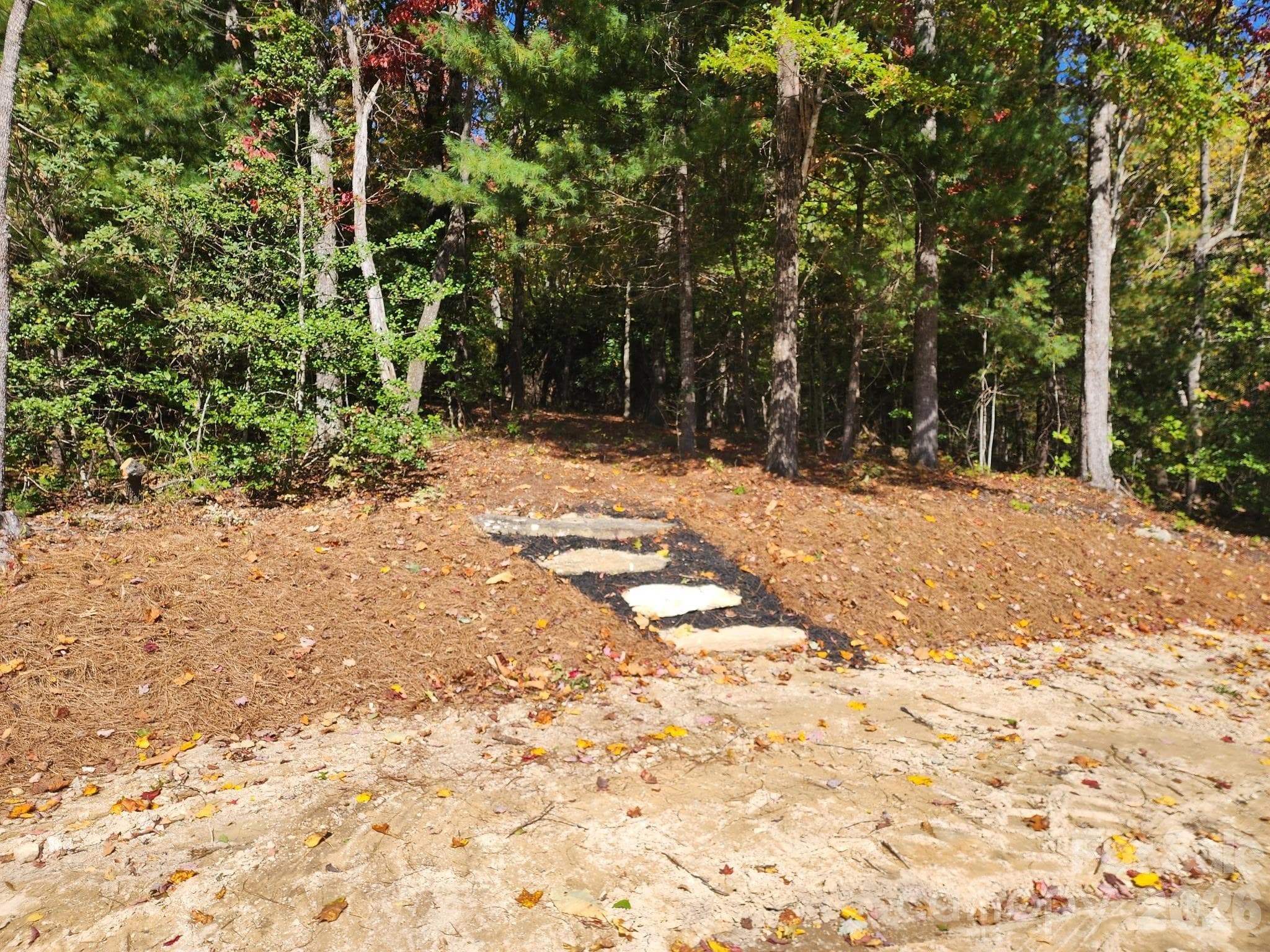 Potential additional homesite surrounded by mature trees and natural wooded landscape. Site has not yet been cleared or developed. - 000 Bulling Creek Road, Penrose