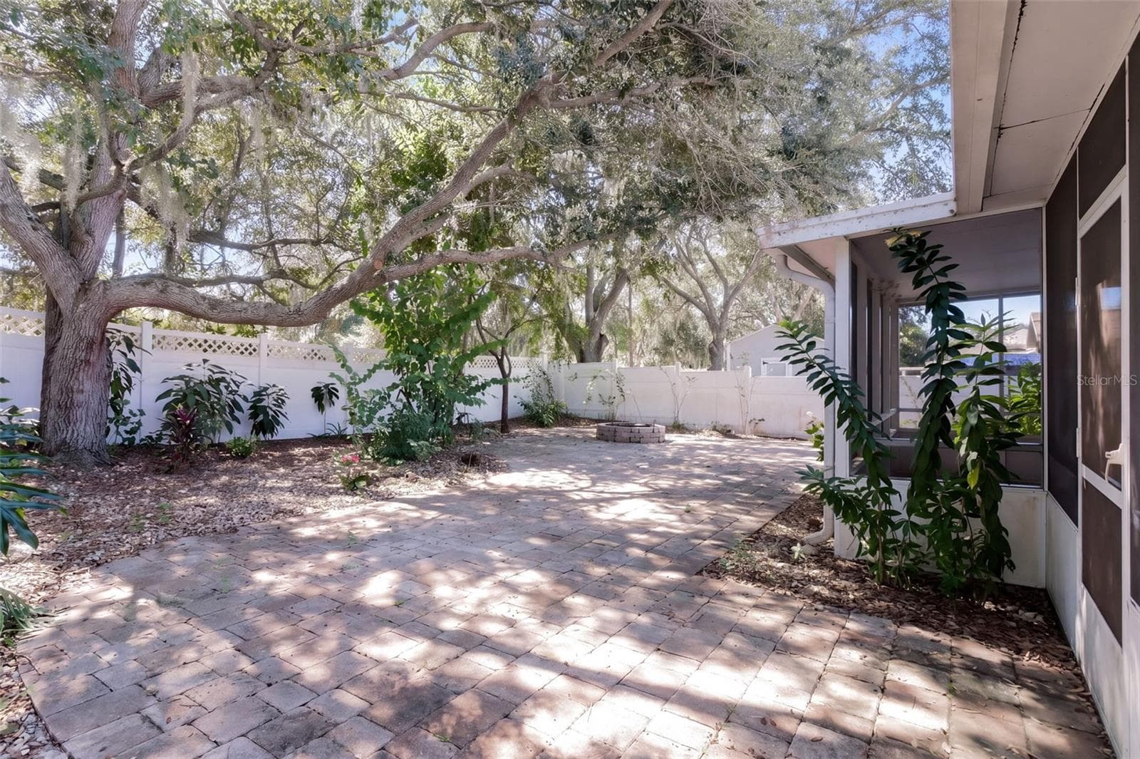 Backyard - 15806 GREEN COVE BLVD, CLERMONT