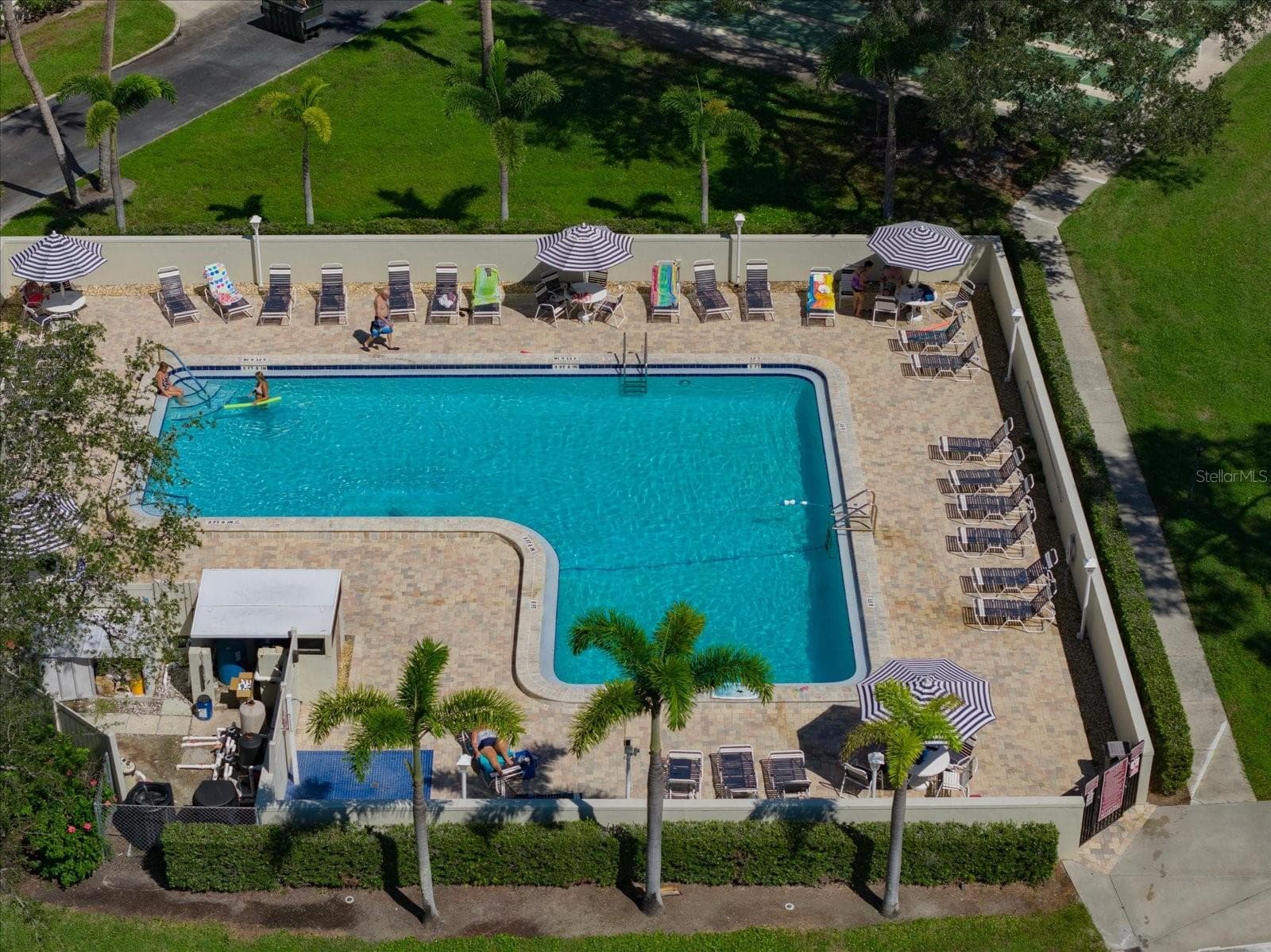 Community pool - 2700 BAYSHORE BLVD #11404, DUNEDIN