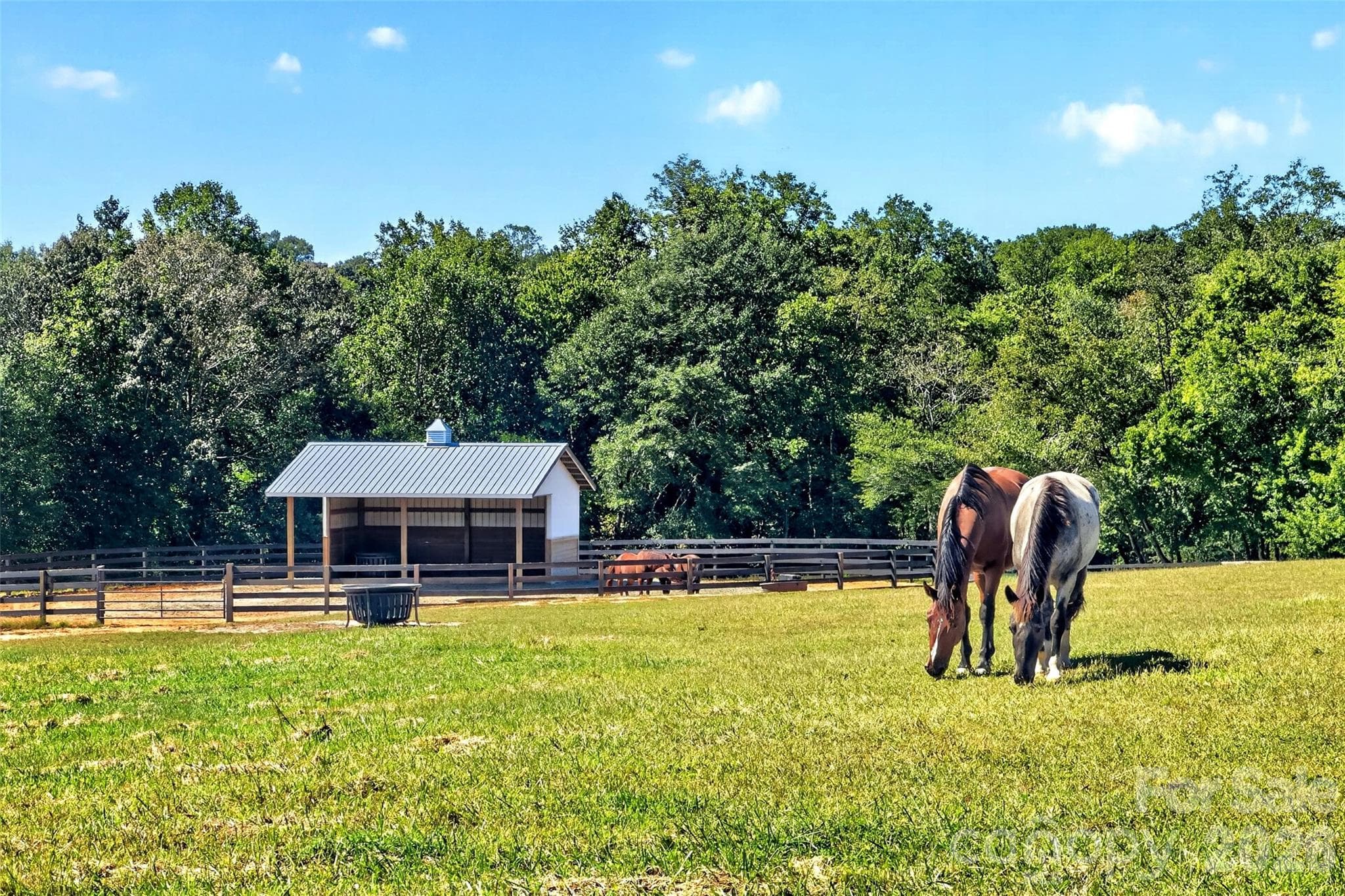 Farm at 2380 New House Road, Ellenboro, photo 28 of 45