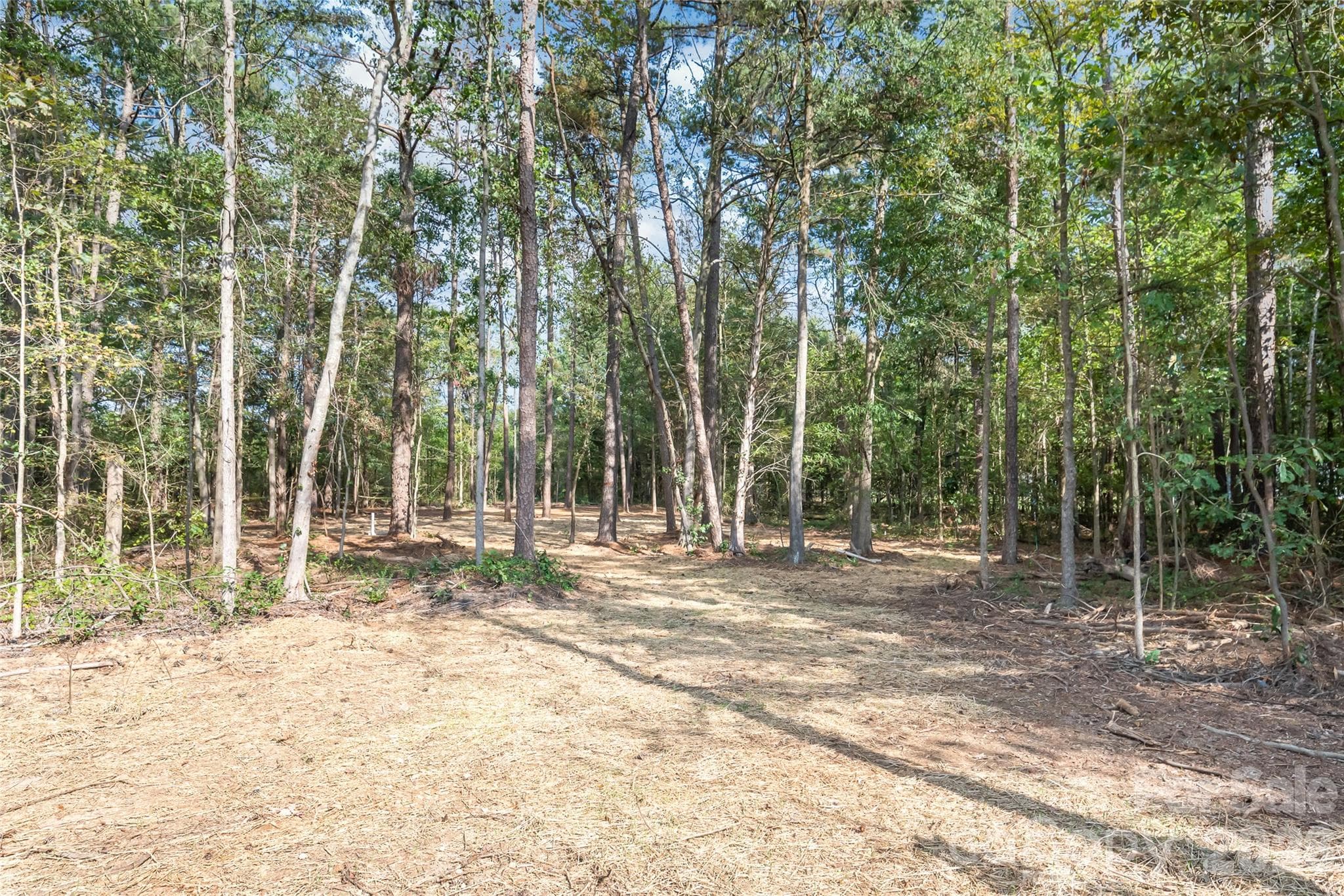 Single Family Residence at 4205 Pigg Mattox Road, Monroe, photo 37 of 42