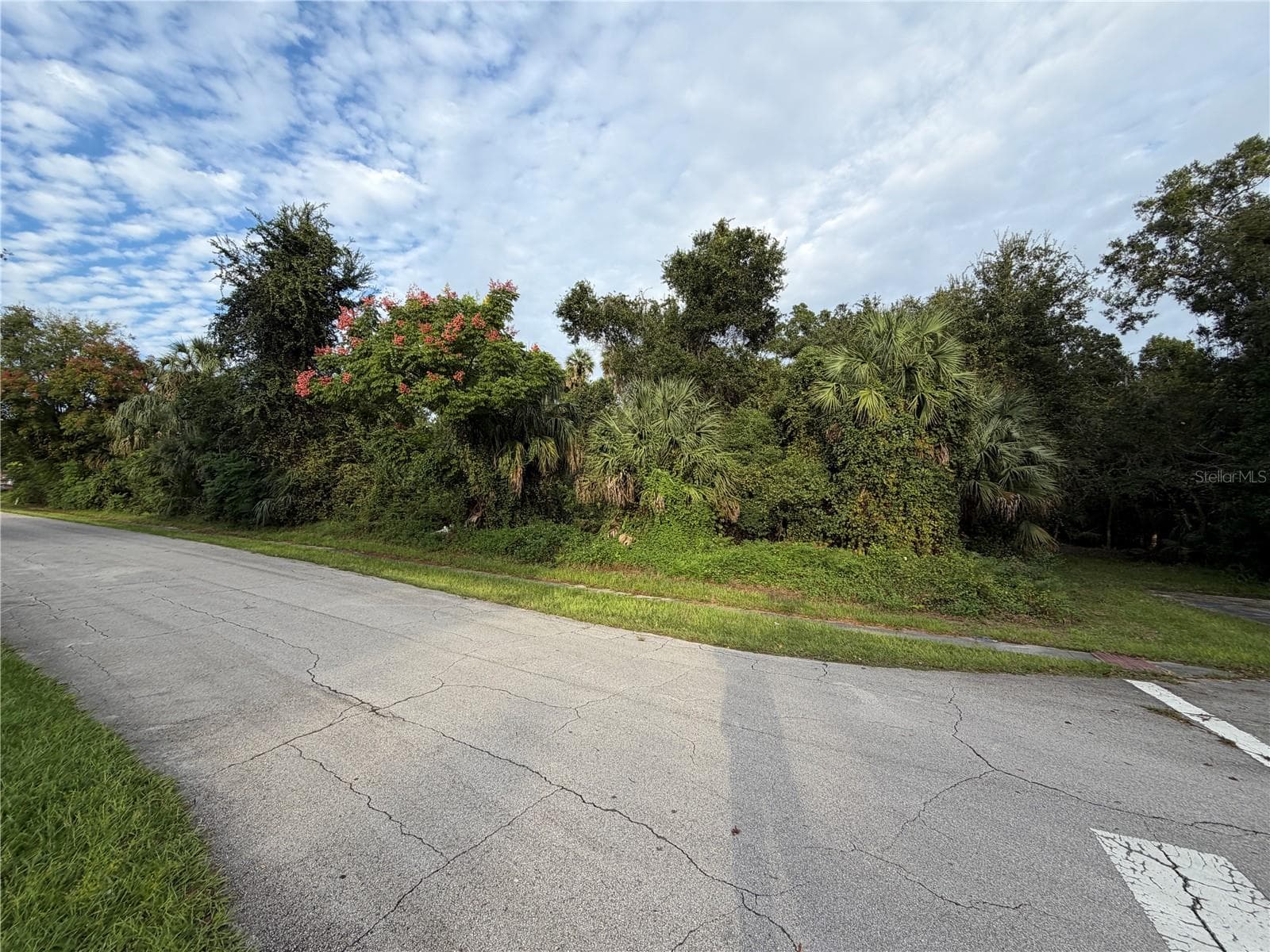 Land at 701 RED COACH AVE, DELTONA, photo 4 of 5