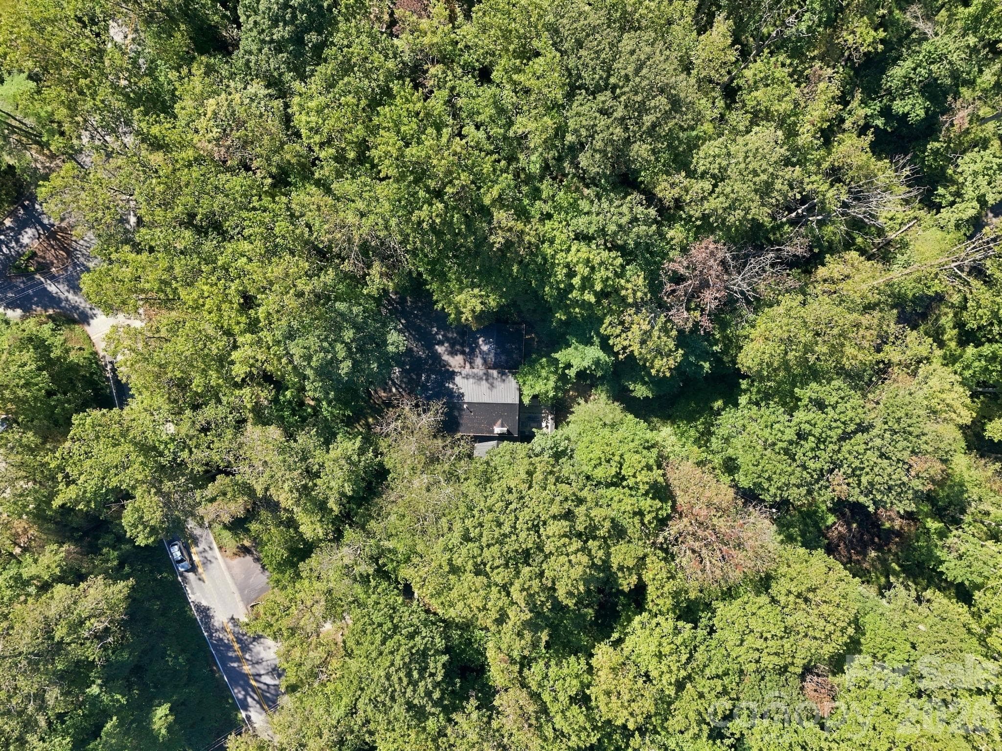 Aerial View - 109 Overlook Road, Asheville