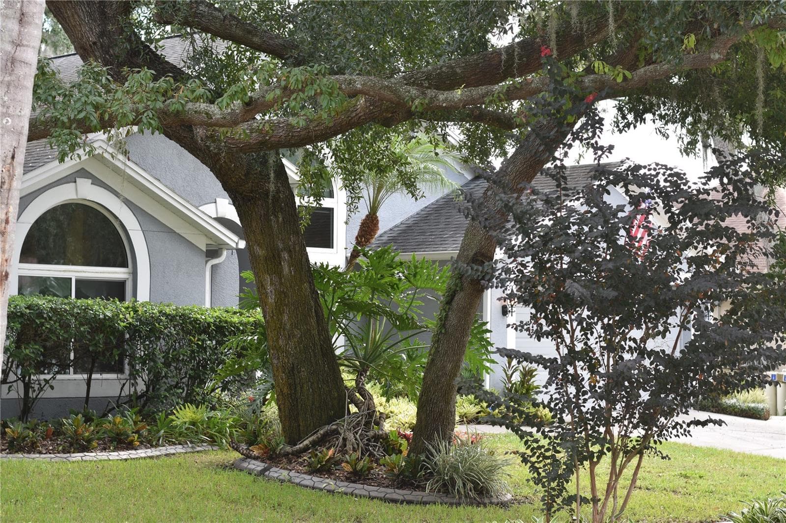 Single Family Residence at 4605 OAK RIVER CIR, VALRICO, photo 4 of 49