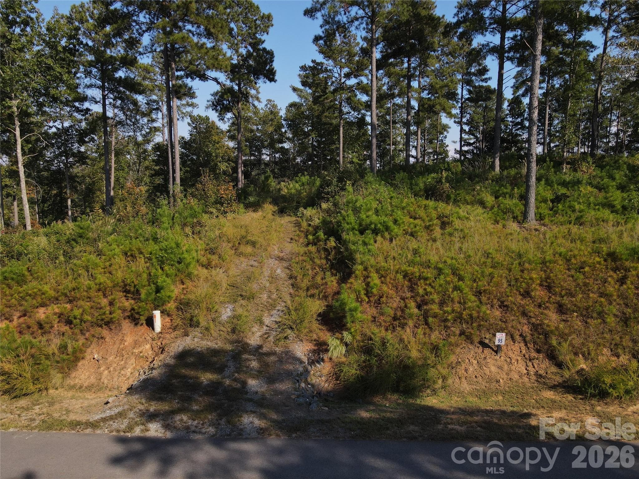 Lot at 3038 Jumping Run, Connelly Springs, photo 3 of 20