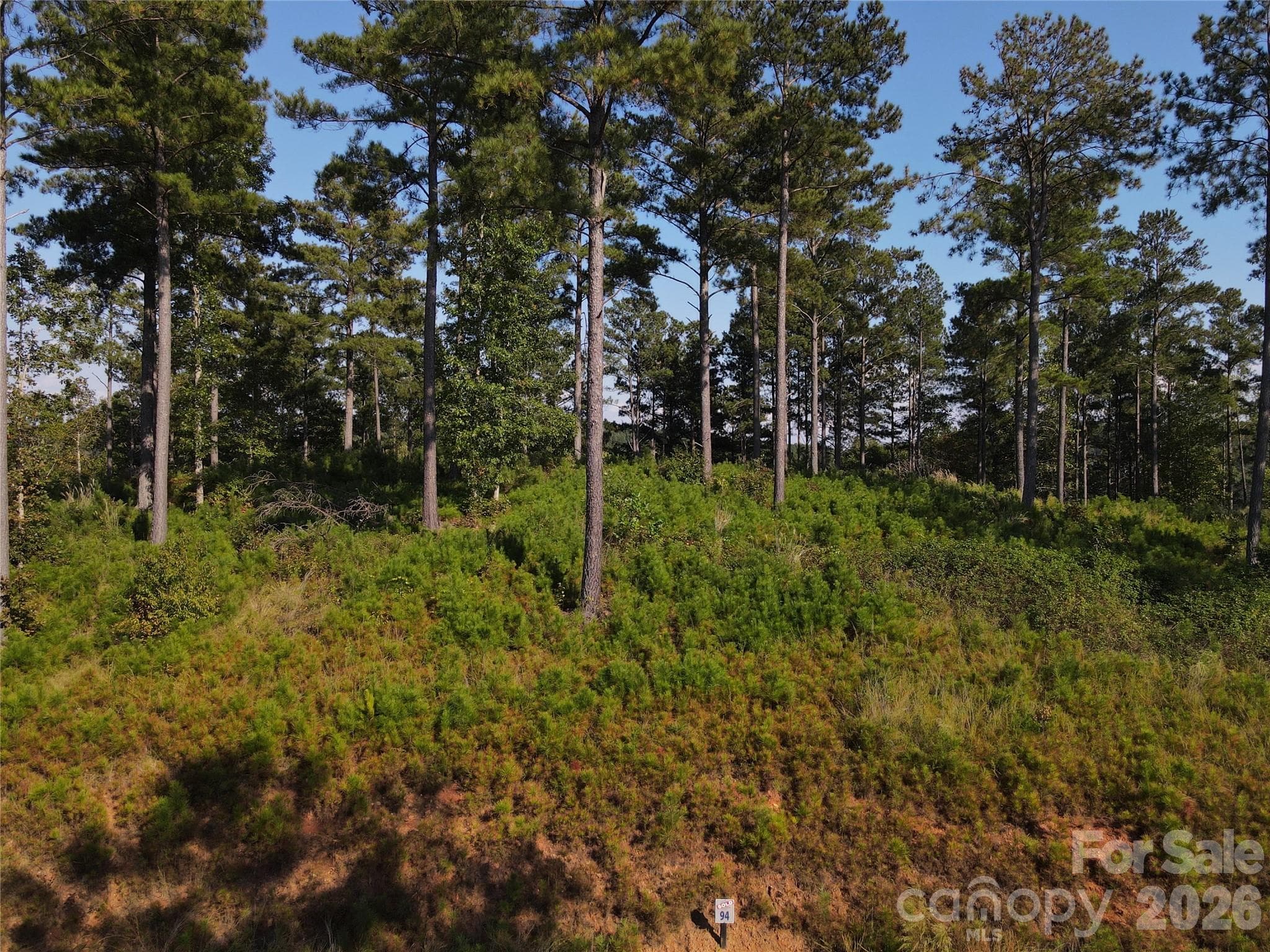 Lot at 3012 & 3038 Jumping Run, Connelly Springs, photo 2 of 18