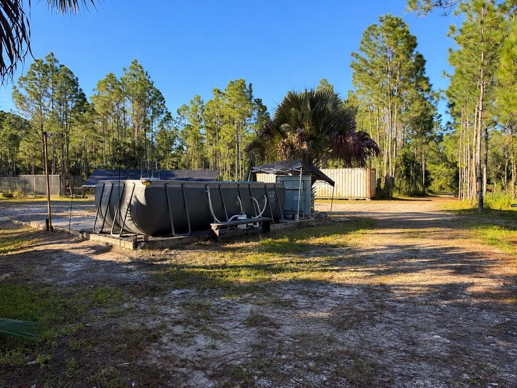 Manufactured Home at 8961 FREEDOM RD, MIMS, photo 13 of 34