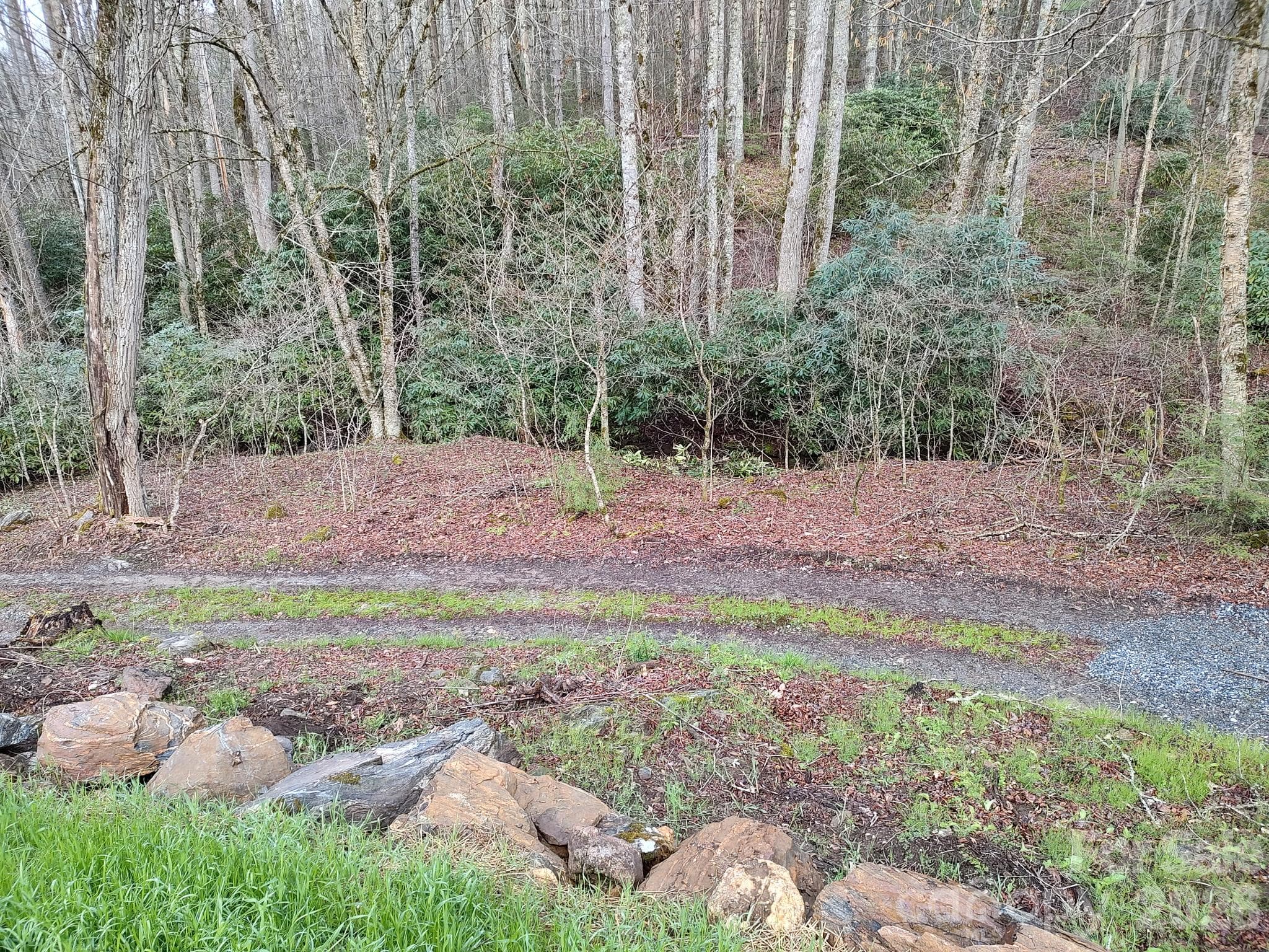 Driveway afer Rain - 1629 White Rock Road, Cullowhee