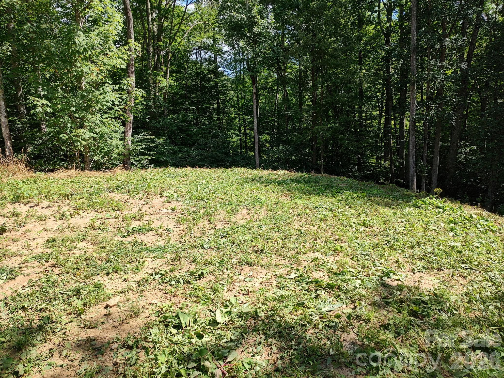 grassy Clearing - 1629 White Rock Road, Cullowhee
