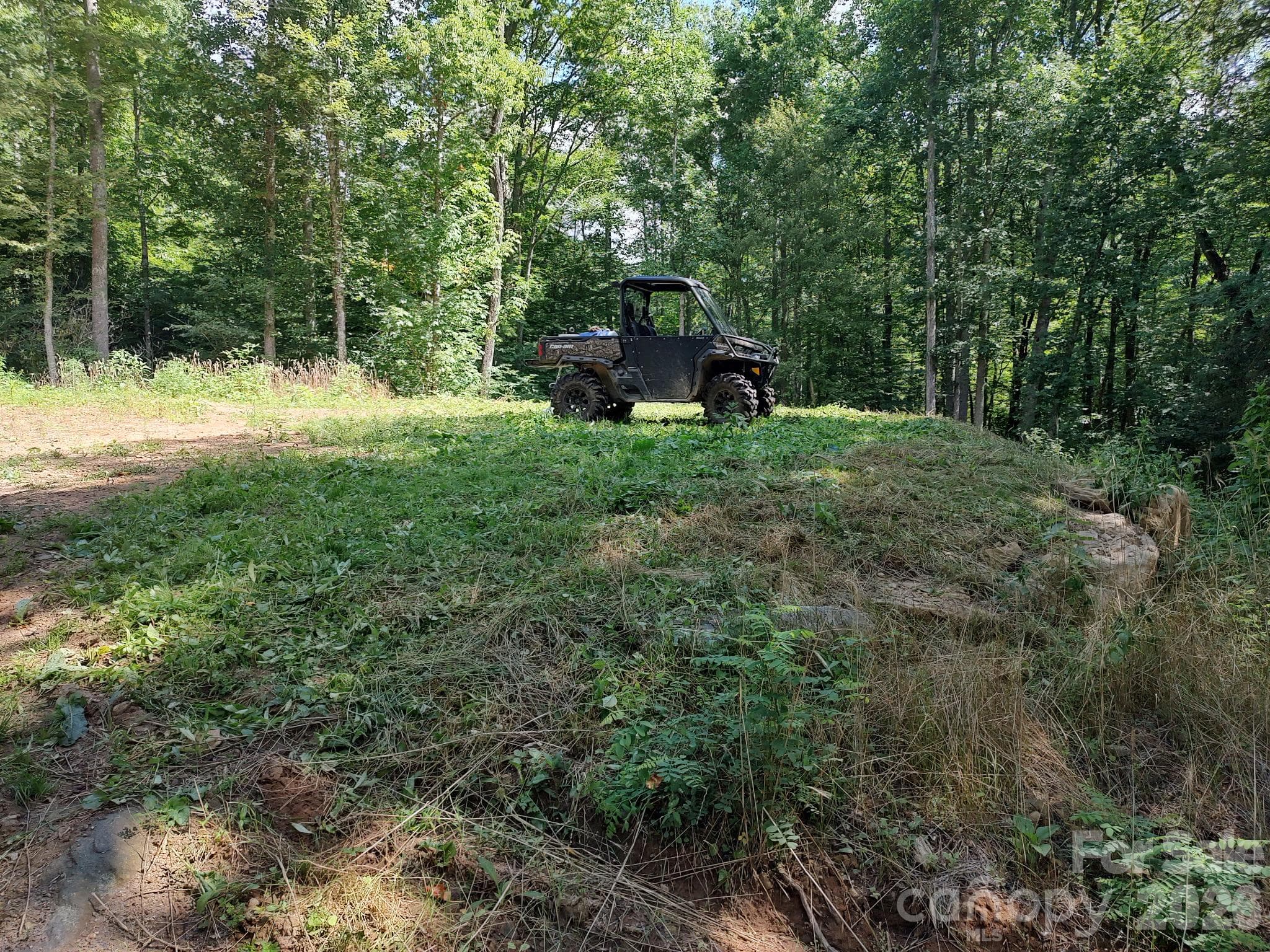 HD10 Grass - 1629 White Rock Road, Cullowhee