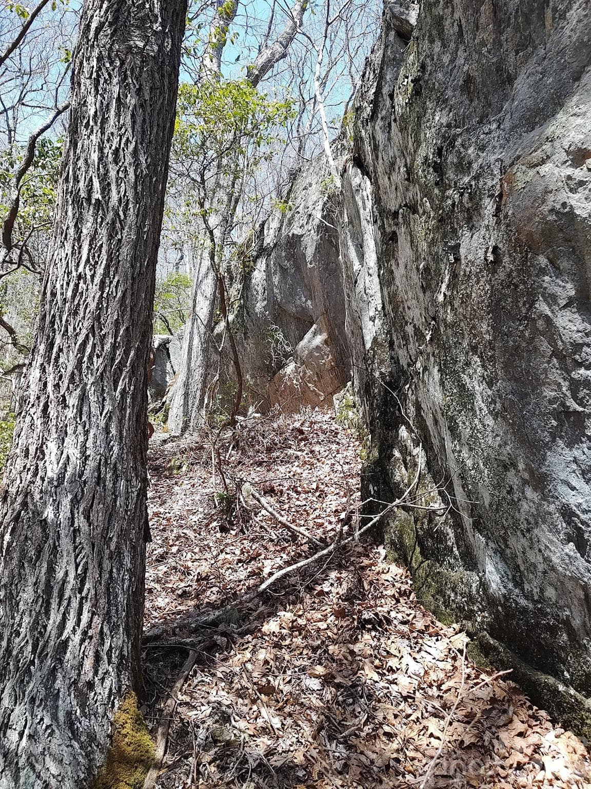 Rock Face - 1629 White Rock Road, Cullowhee