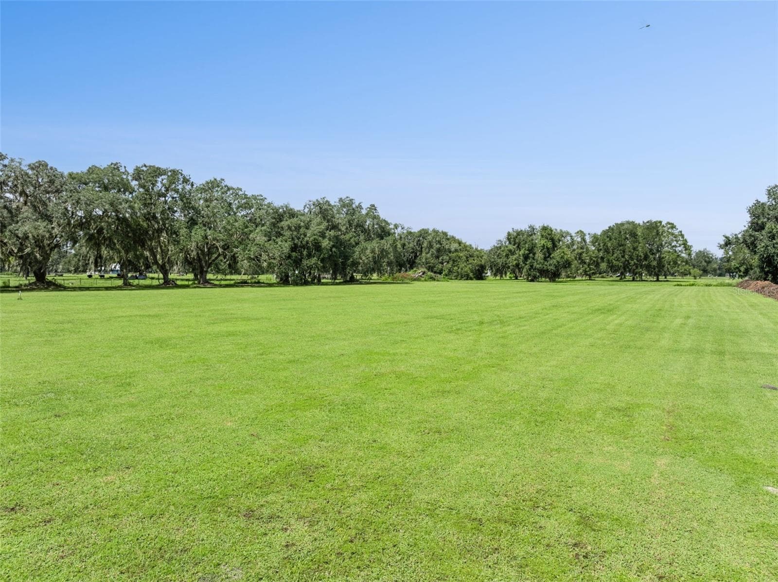 Single Family Residence at 1017 SLOANS RIDGE RD, GROVELAND, photo 45 of 48