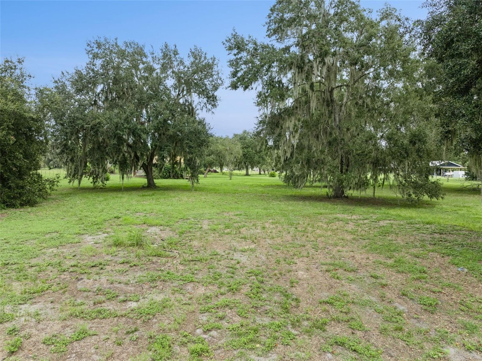 Single Family Residence at 1017 SLOANS RIDGE RD, GROVELAND, photo 47 of 48