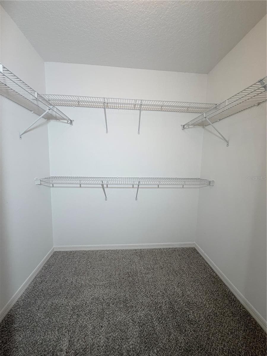Master Bedroom Walk in Closet 1 - 247 BLAKE AVE, DAVENPORT