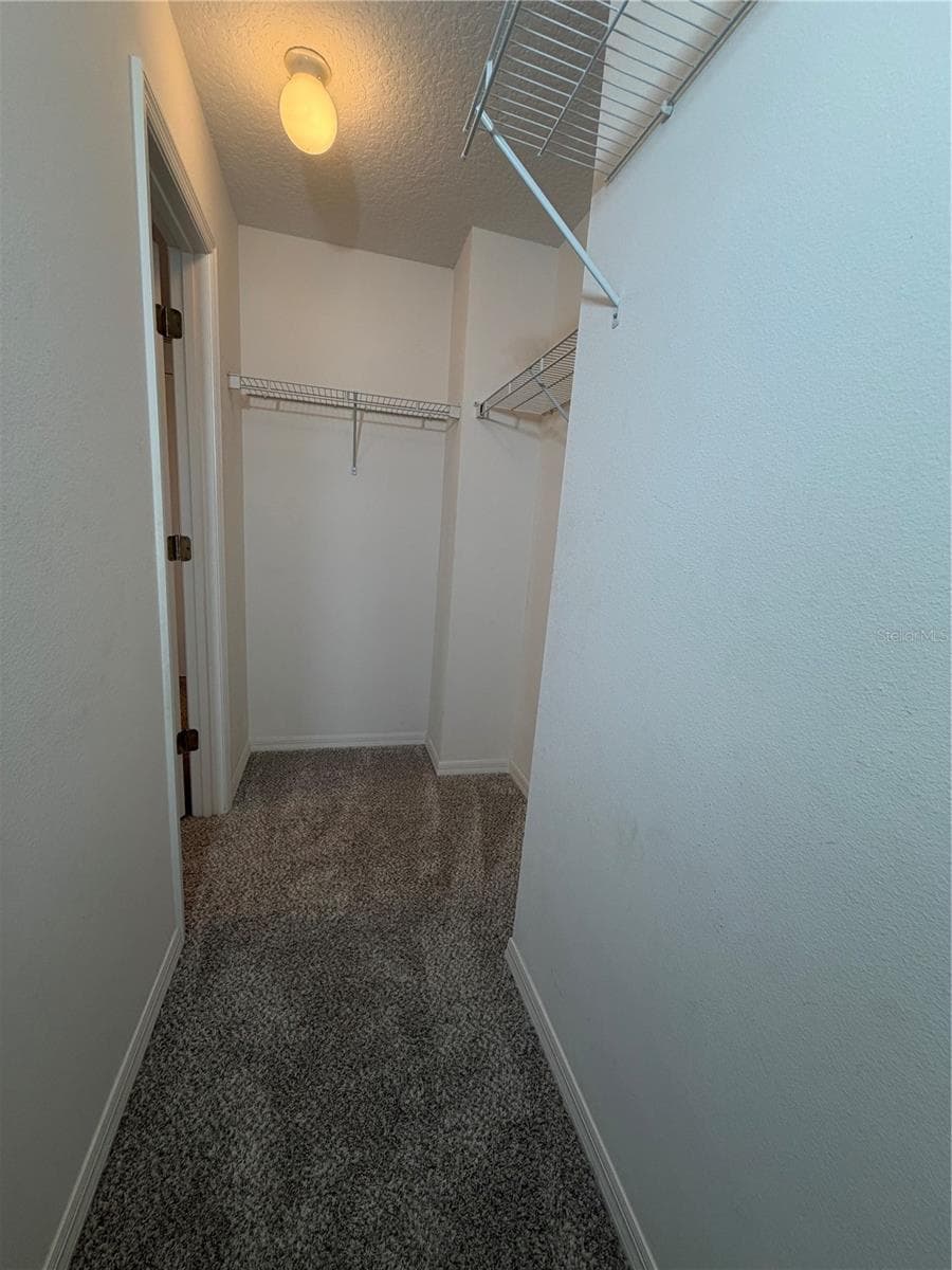 Bedroom 2 Walk In Closet - 247 BLAKE AVE, DAVENPORT