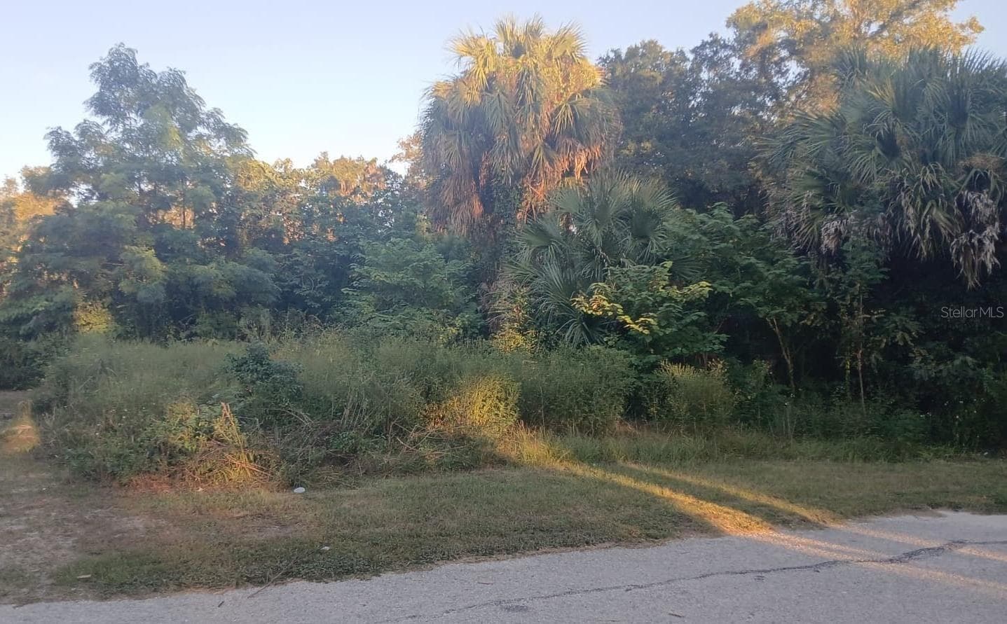 Land at 425 NW 12TH AVE, OCALA, photo 2 of 3