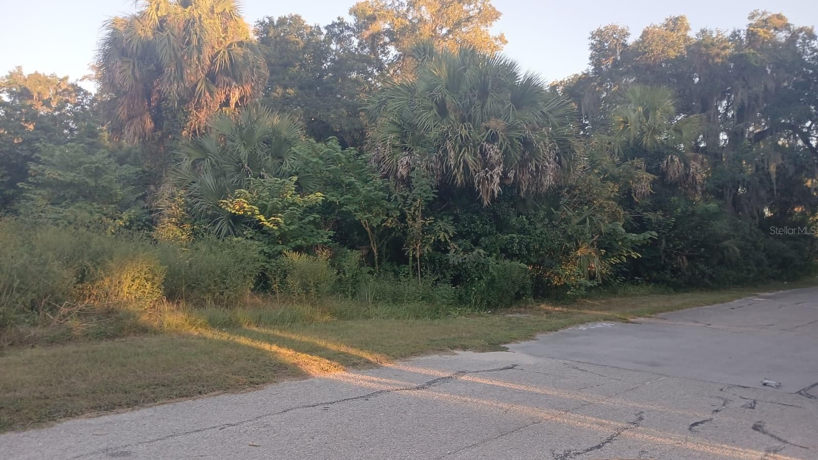 Land at 425 NW 12TH AVE, OCALA, photo 3 of 3