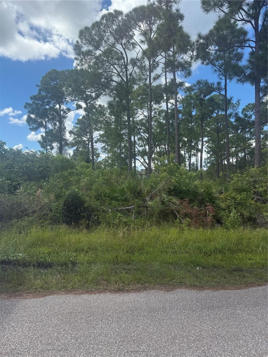 Land at 1213 BLALOCK ST, PORT CHARLOTTE, photo 3 of 8