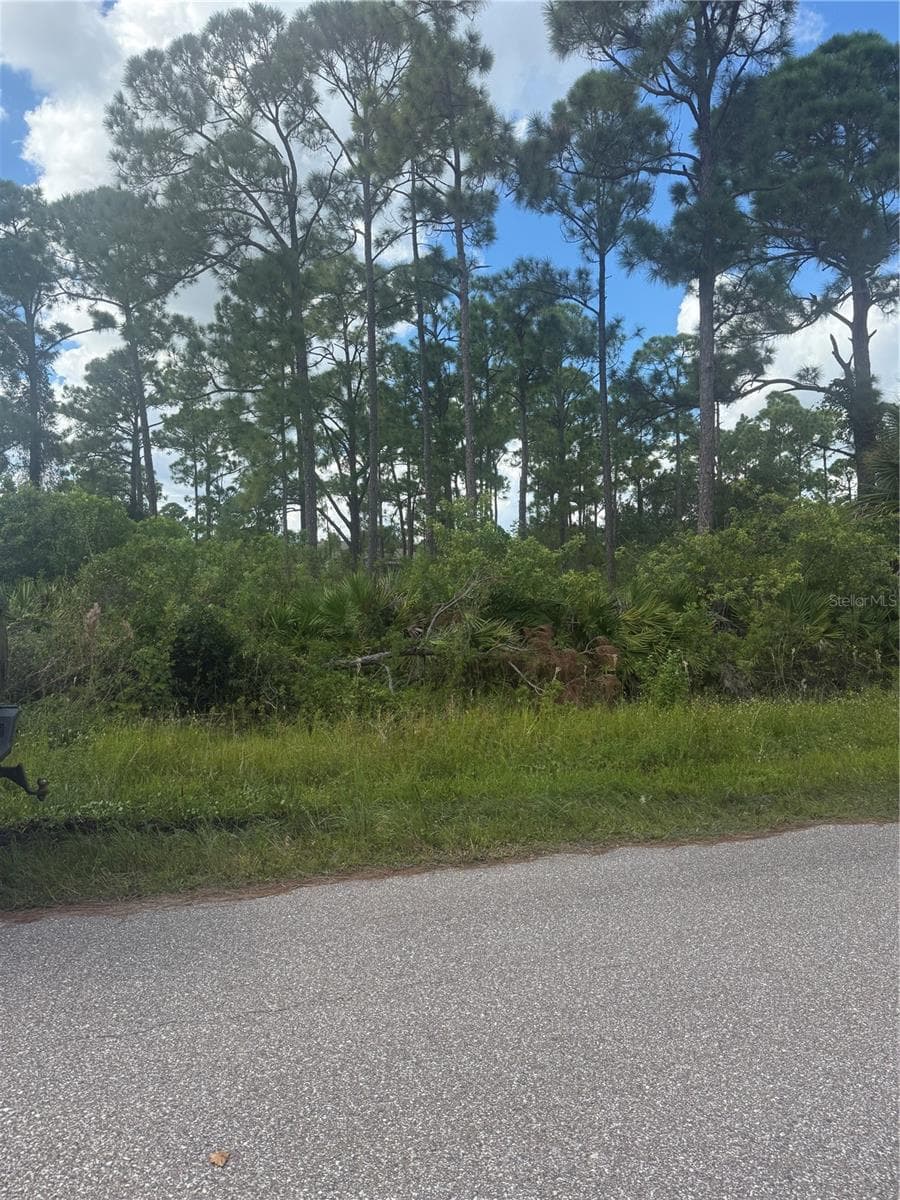 Land at 1213 BLALOCK ST, PORT CHARLOTTE, photo 4 of 8