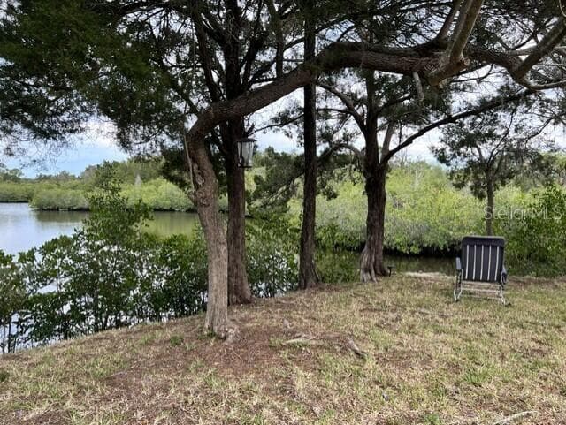 Single Family Residence at 5275 MILLER BAYOU DR, PORT RICHEY, photo 5 of 19