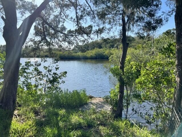 Single Family Residence at 5275 MILLER BAYOU DR, PORT RICHEY, photo 7 of 19