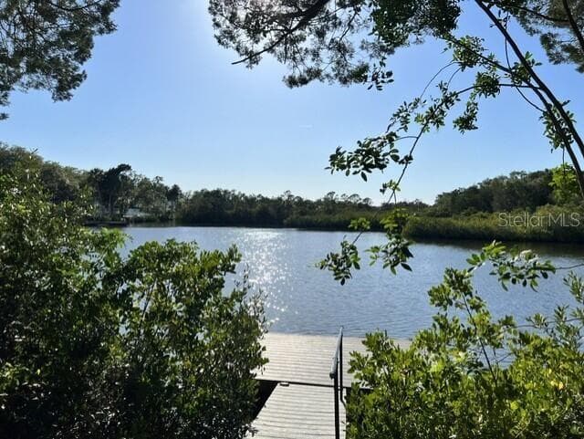 Single Family Residence at 5275 MILLER BAYOU DR, PORT RICHEY, photo 8 of 19