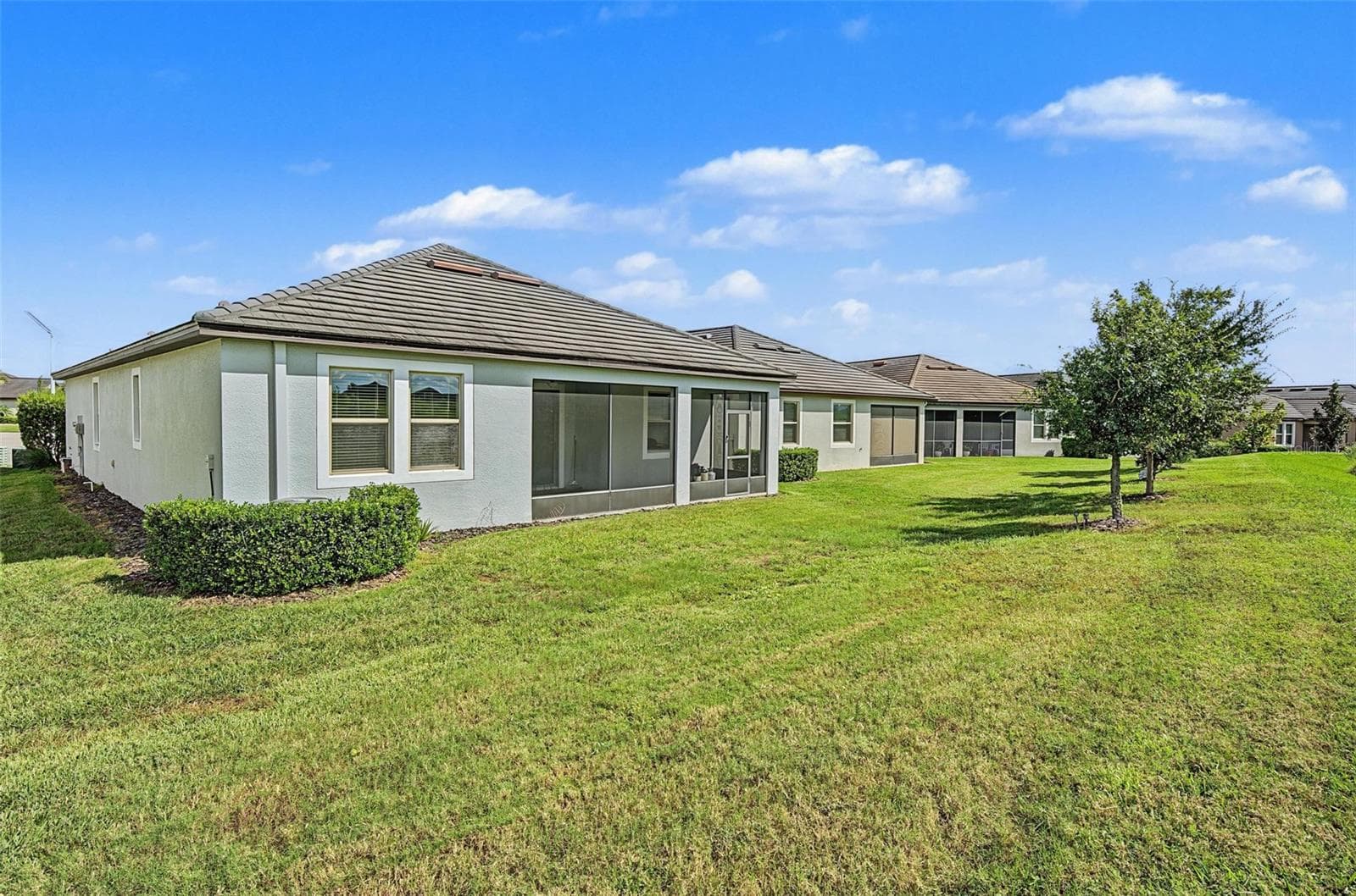 Large Backyard - 31733 CABANA RYE AVE, SAN ANTONIO